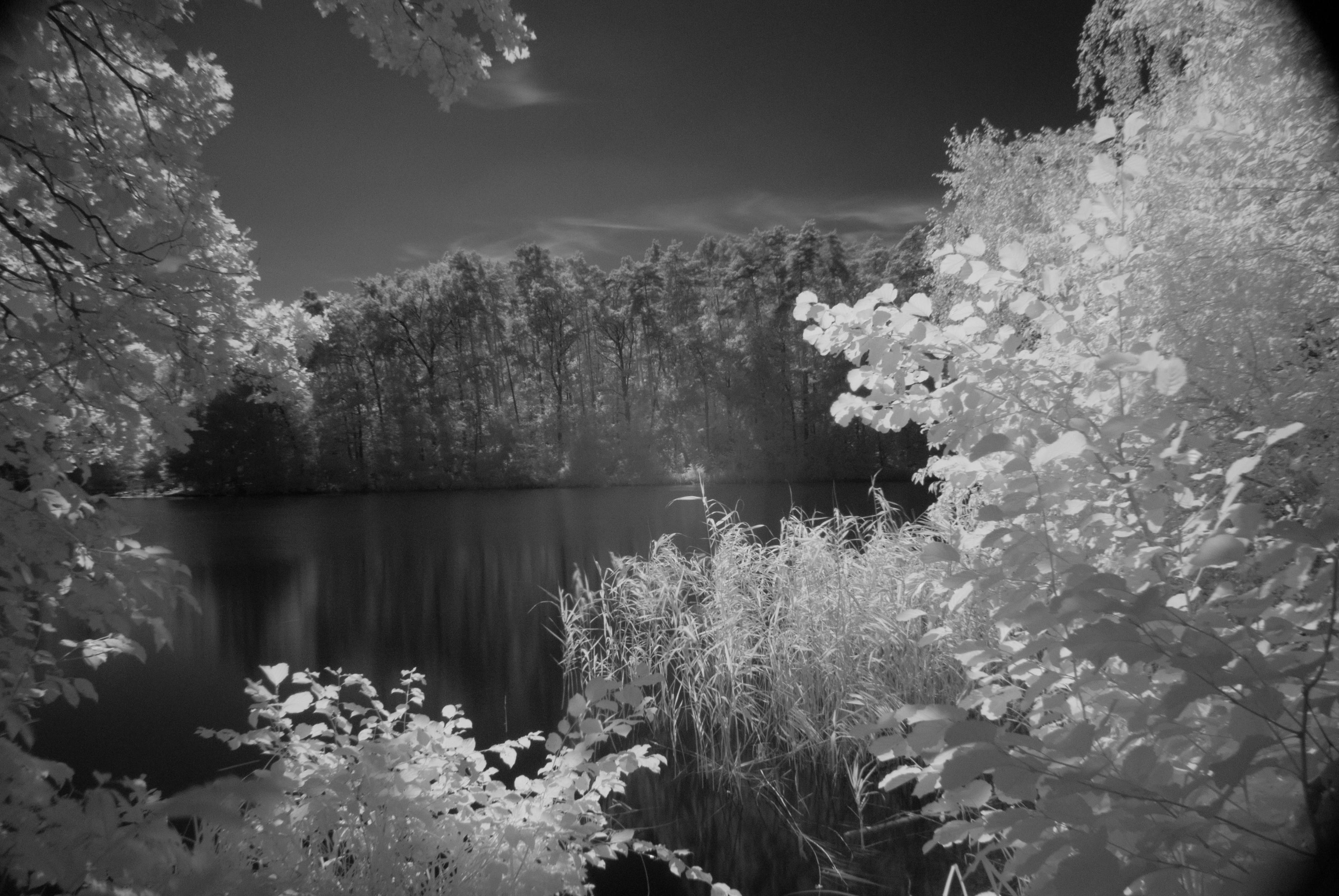 Photo by piotrfotodigital