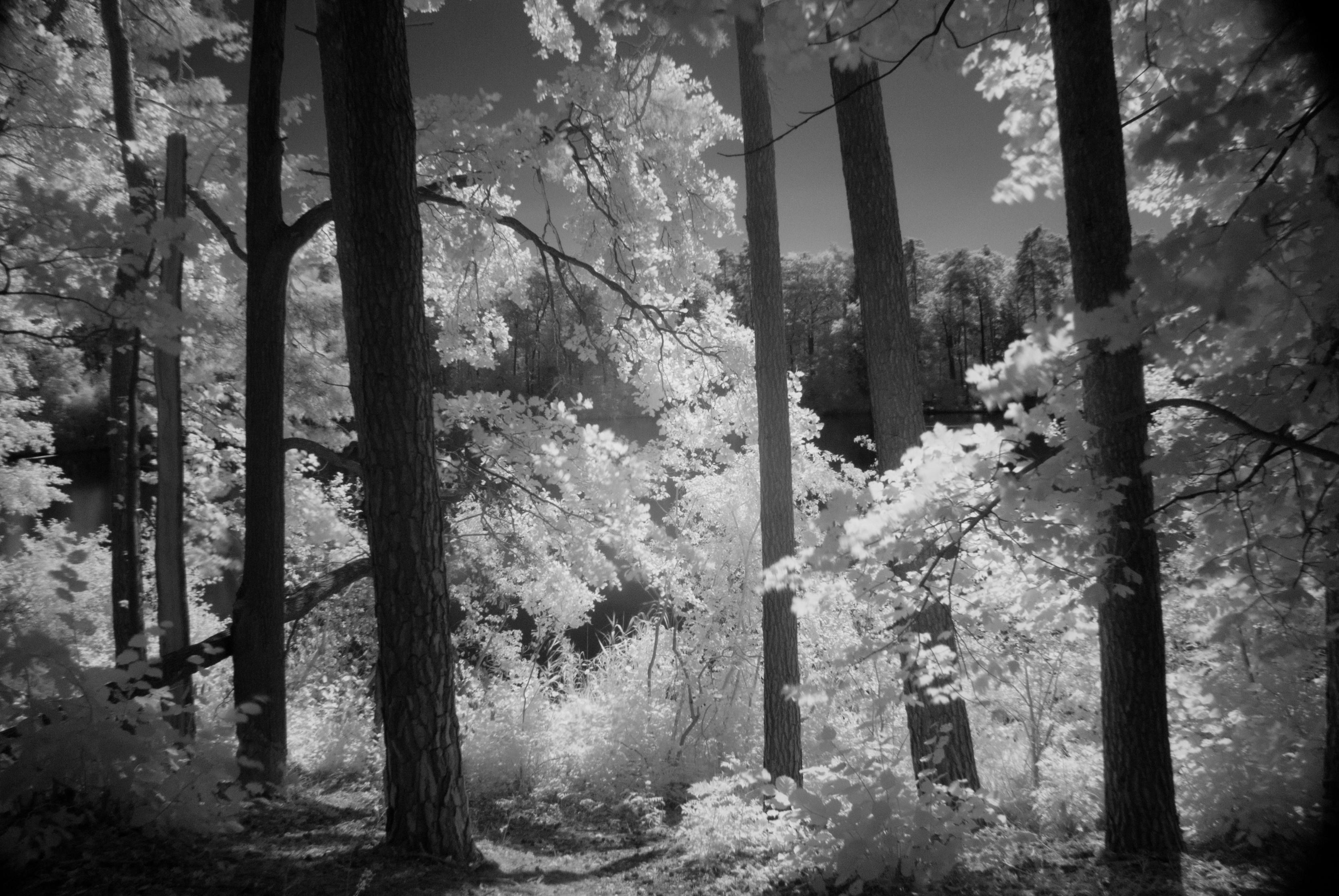 Photo by piotrfotodigital