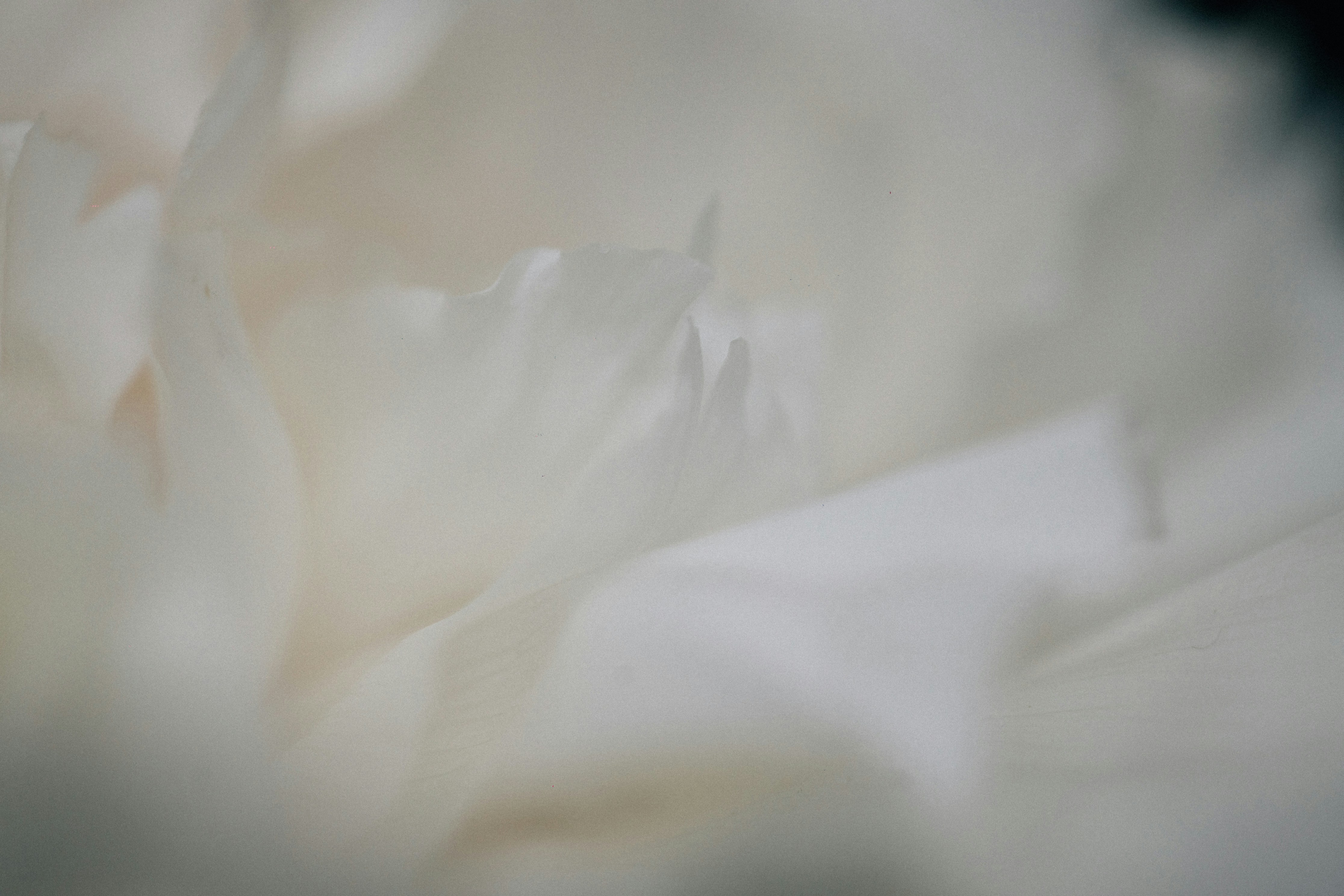 Photo by tsuyoshikozu