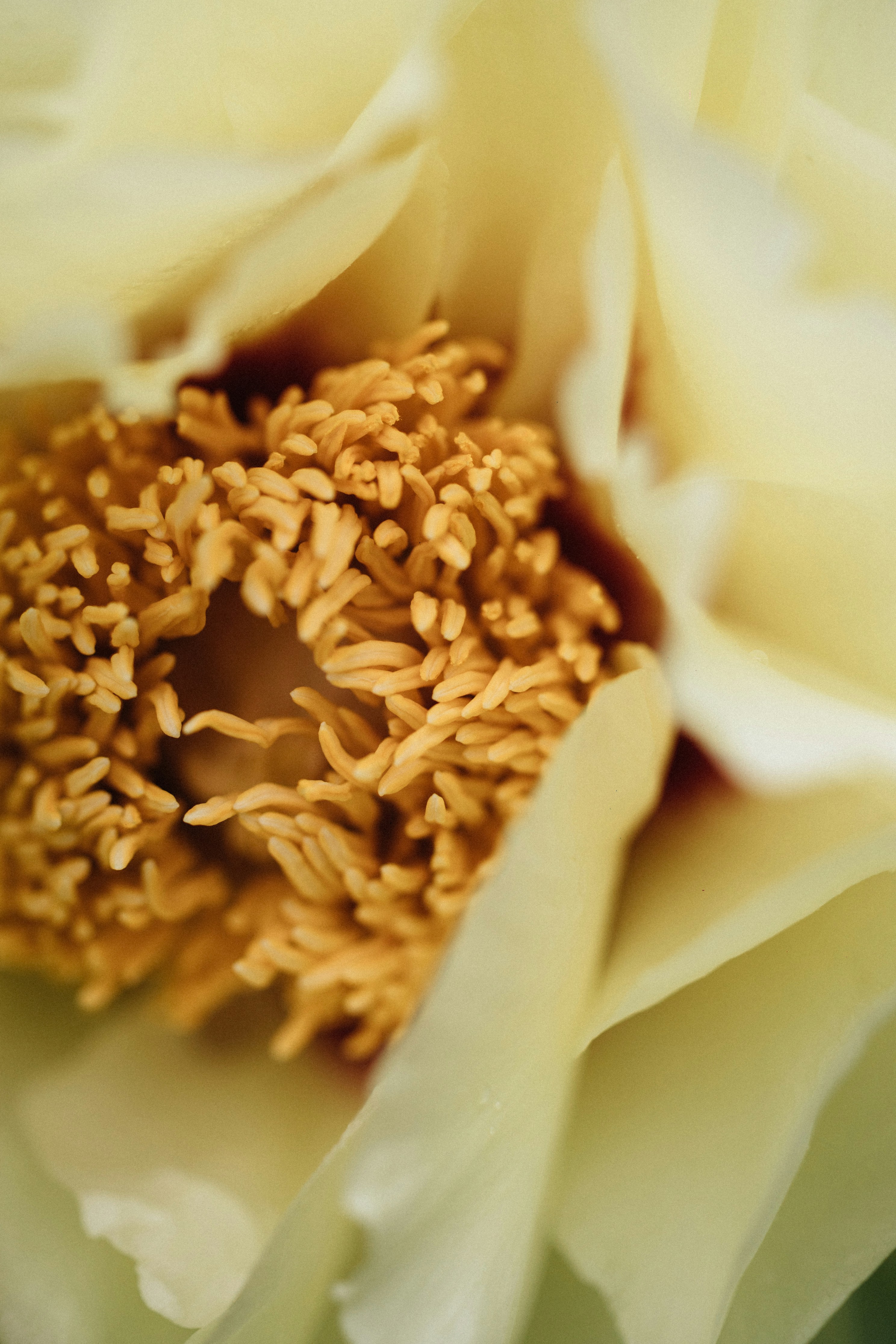 Photo by tsuyoshikozu