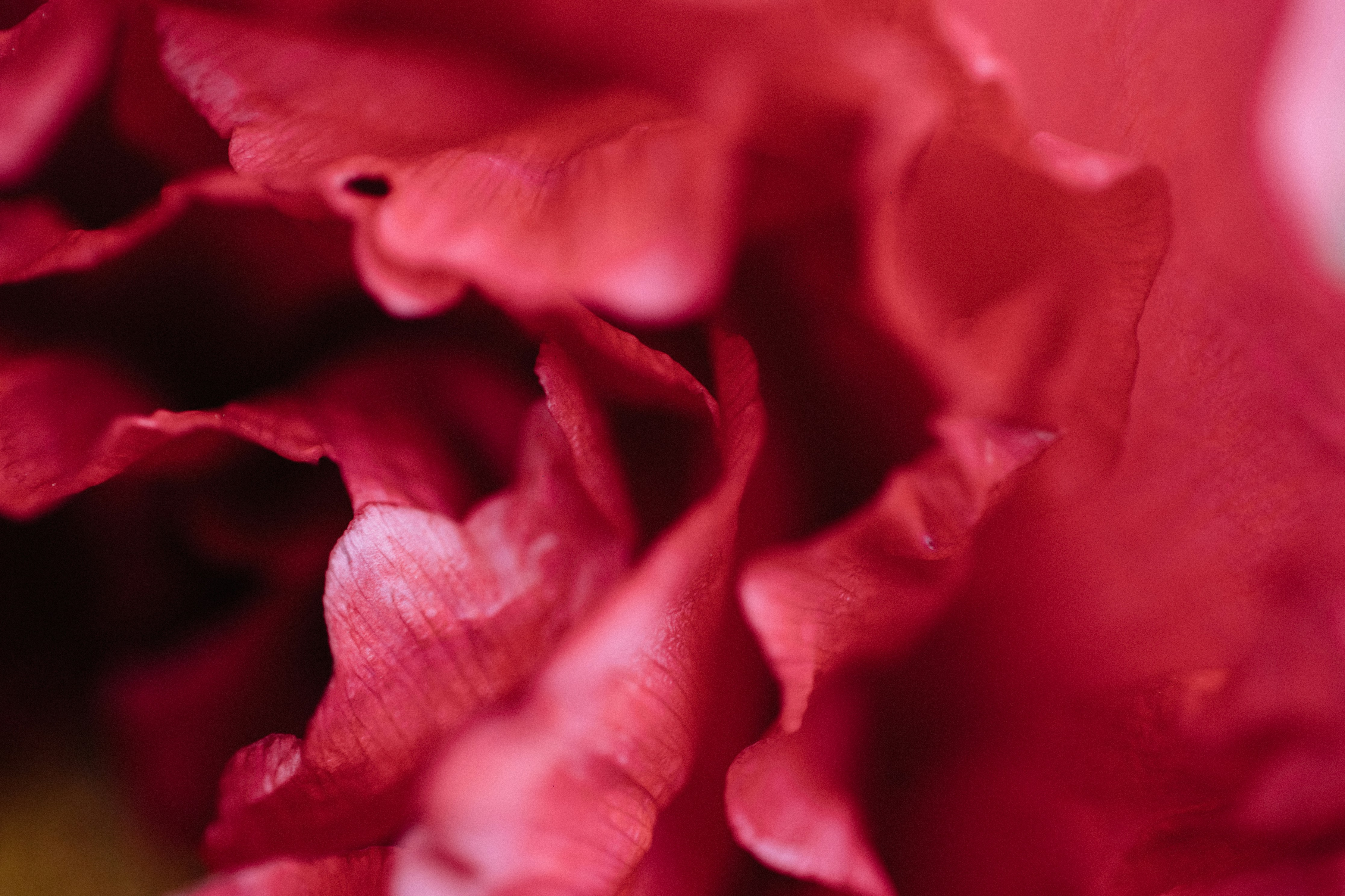 Photo by tsuyoshikozu