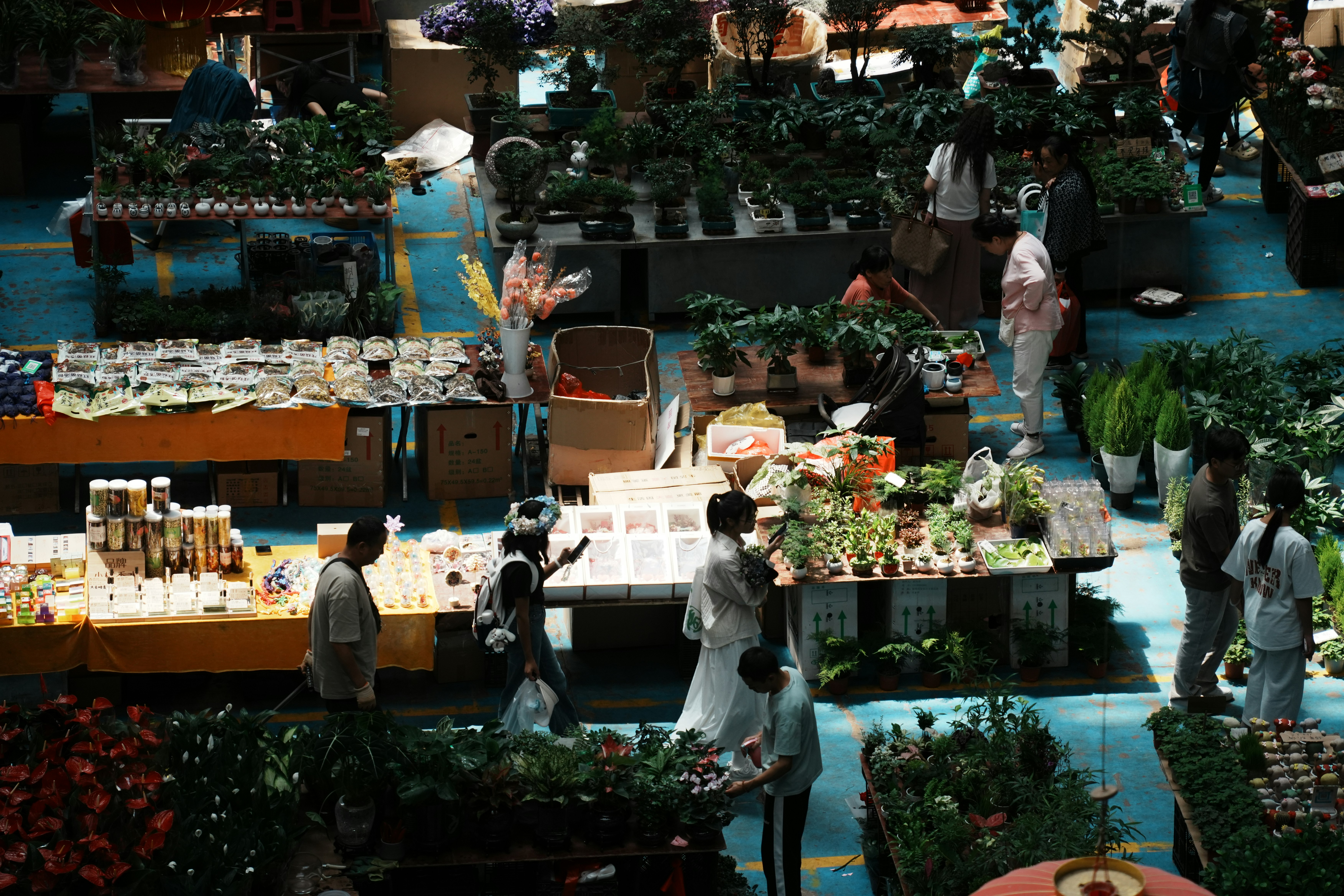 Цей цикл, що ведеться Bitcoin і закріплений у інституціях, показує, що тримісячне падіння не є зимою: Glassnode