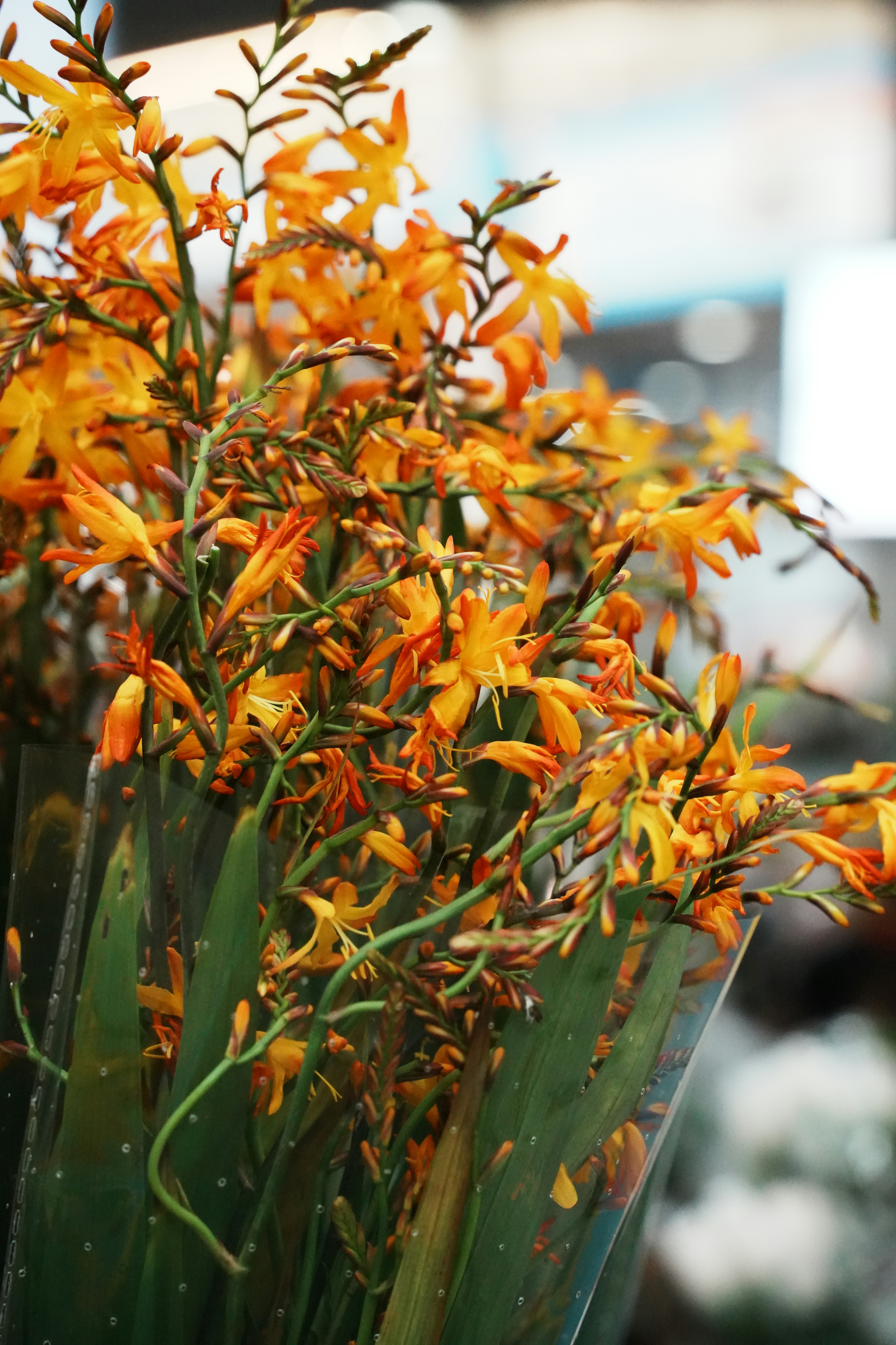 A vase filled with yellow flowers on top of a table photo – Free ...
