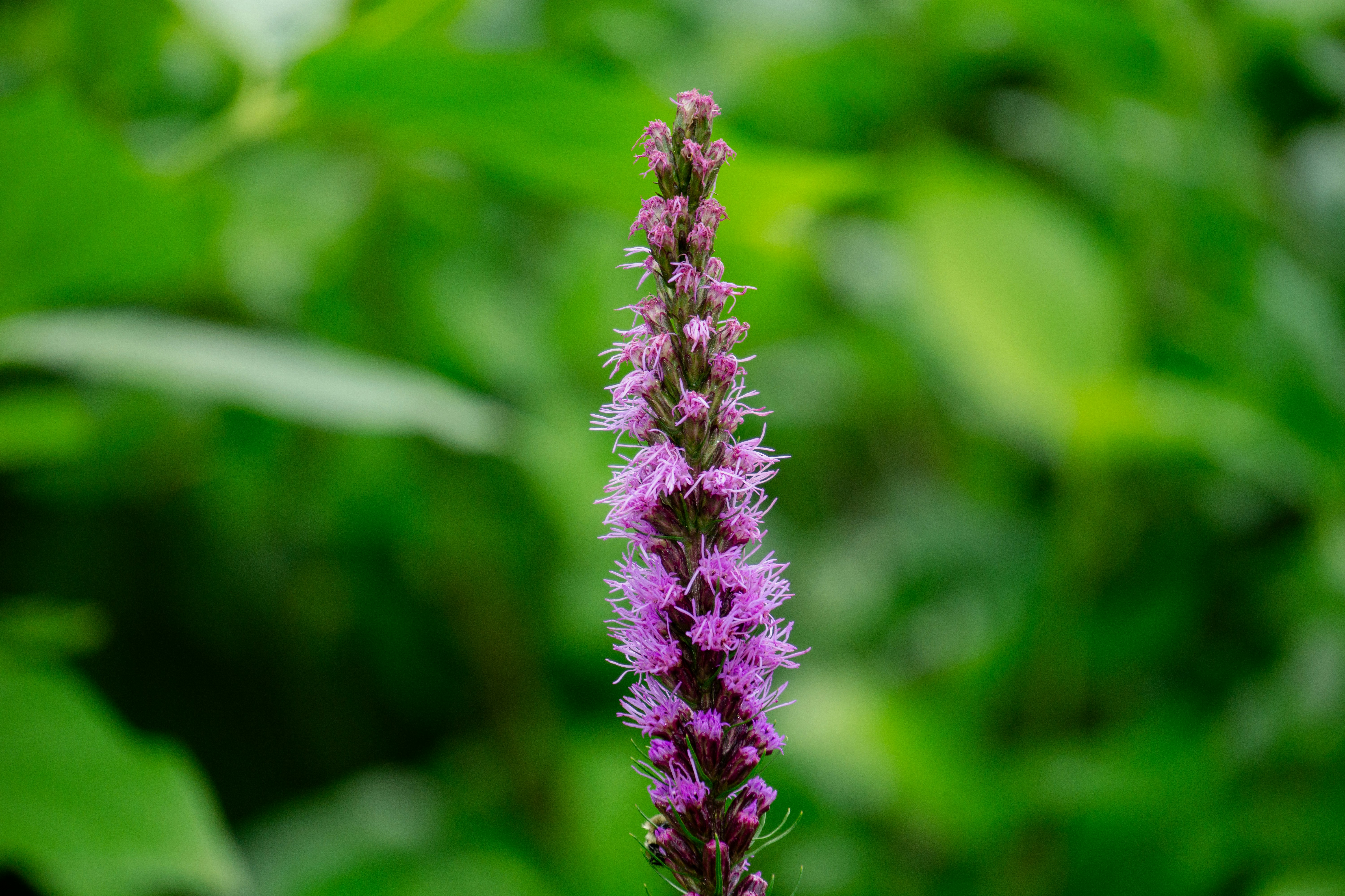 Photo by aravindreddytarugu