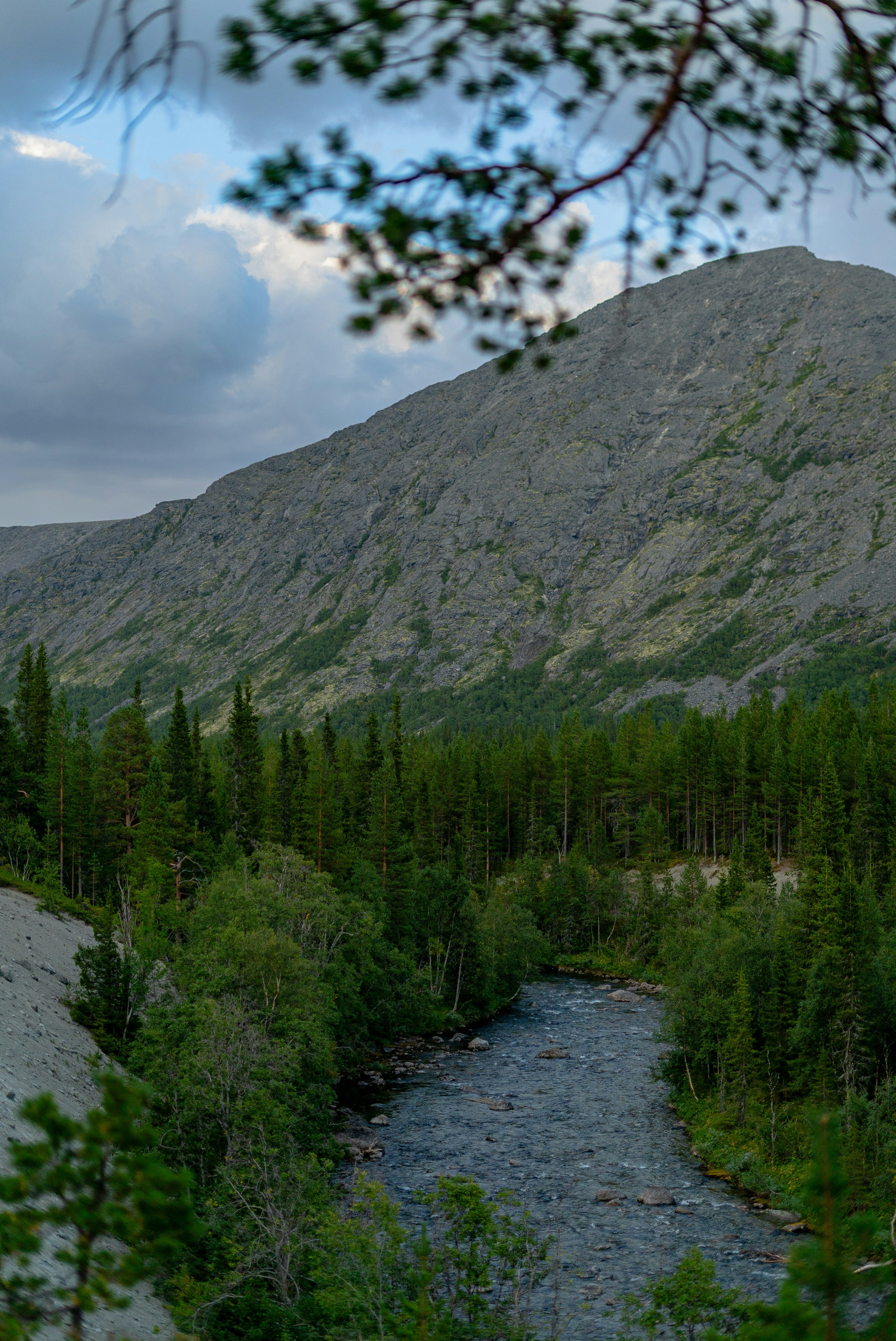 Photo by vlad_ion