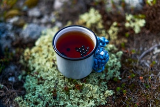 A cup of tea sitting on top of a moss covered ground