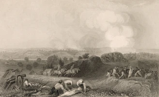 People working in a field with horses and carts