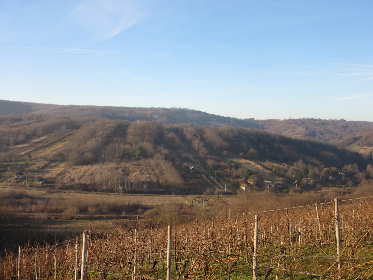 Tokaj wine country