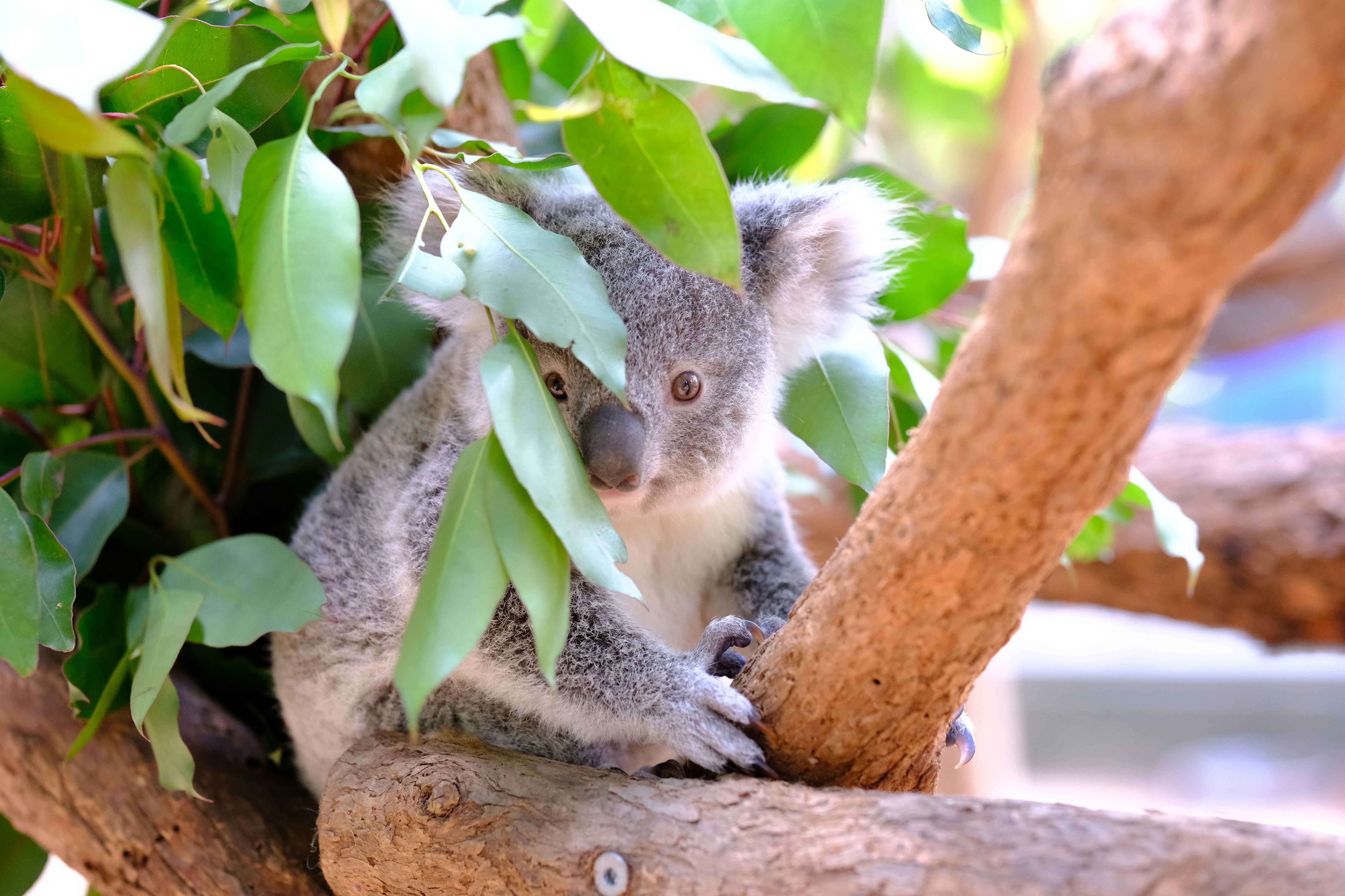 Image by Simone Dinoia via Unsplash