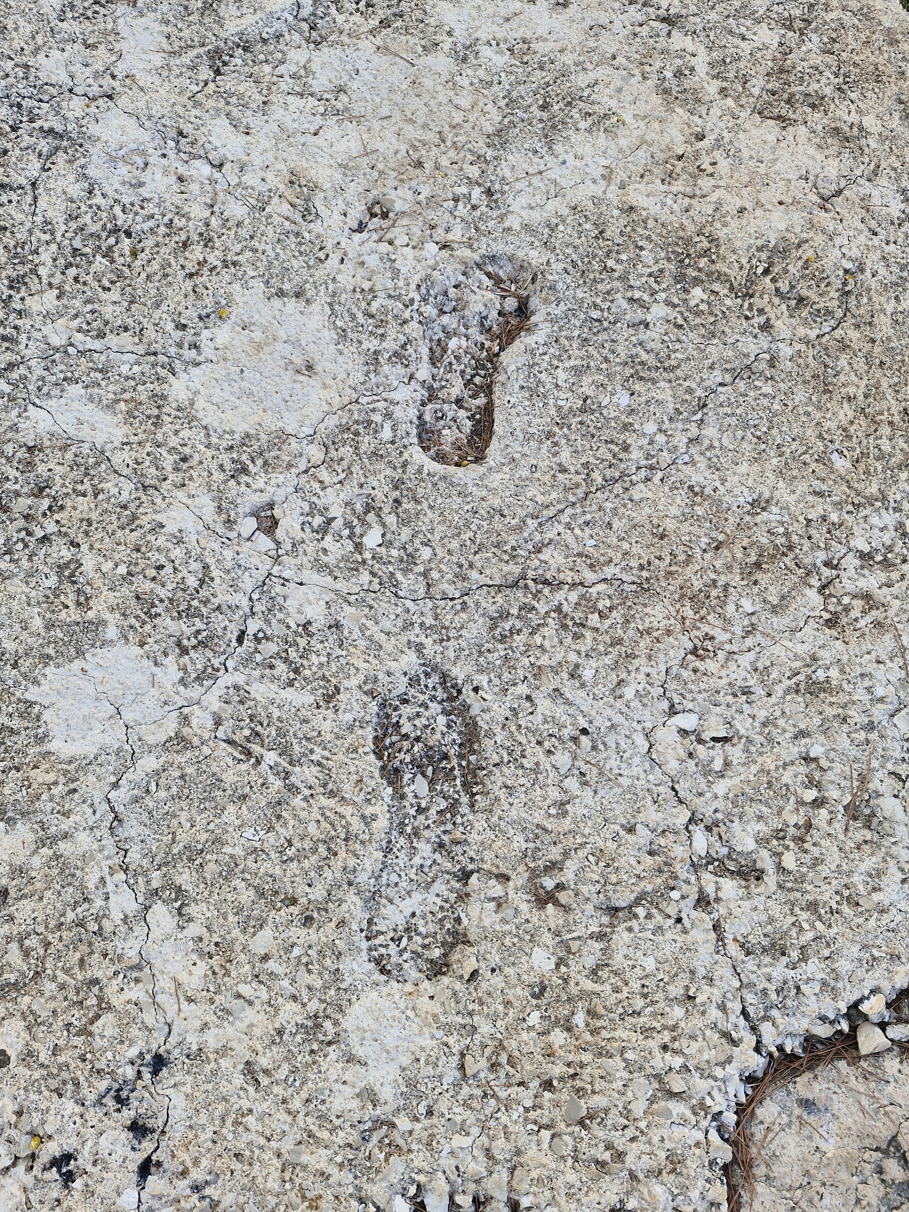 Photo by photoistoriia