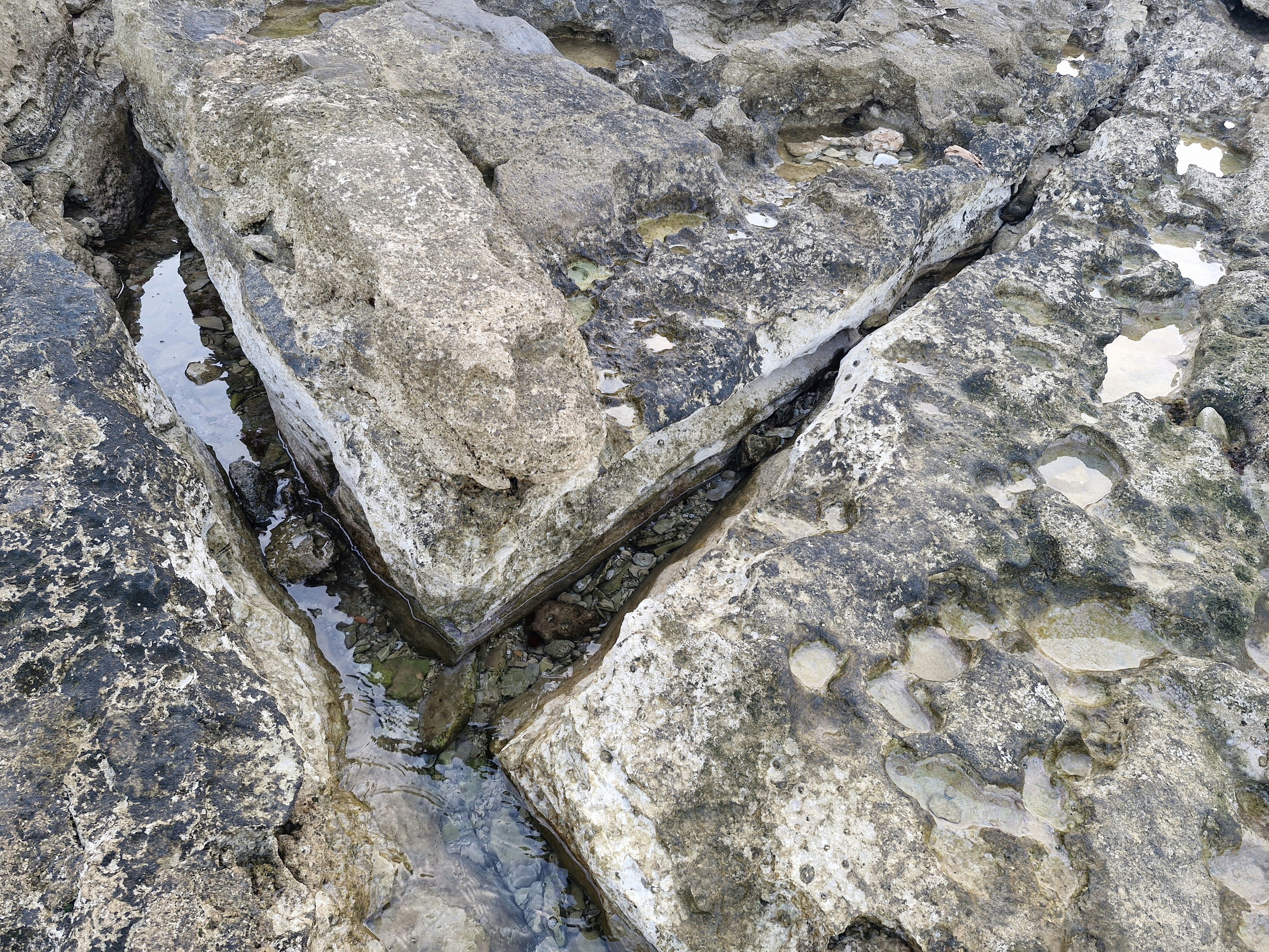 photo-1726402327379-6475013dfadc?ixid=M3wxMjA3fDB8MXxzZWFyY2h8N3x8c3RlcHBpbmclMjBzdG9uZSUyMGNsZWFuaW5nJTIwZm9yJTIwdXBrZWVwfGVufDB8fHx8MTc0ODQ1MDE1N3ww\u0026ixlib=rb-4.1.0