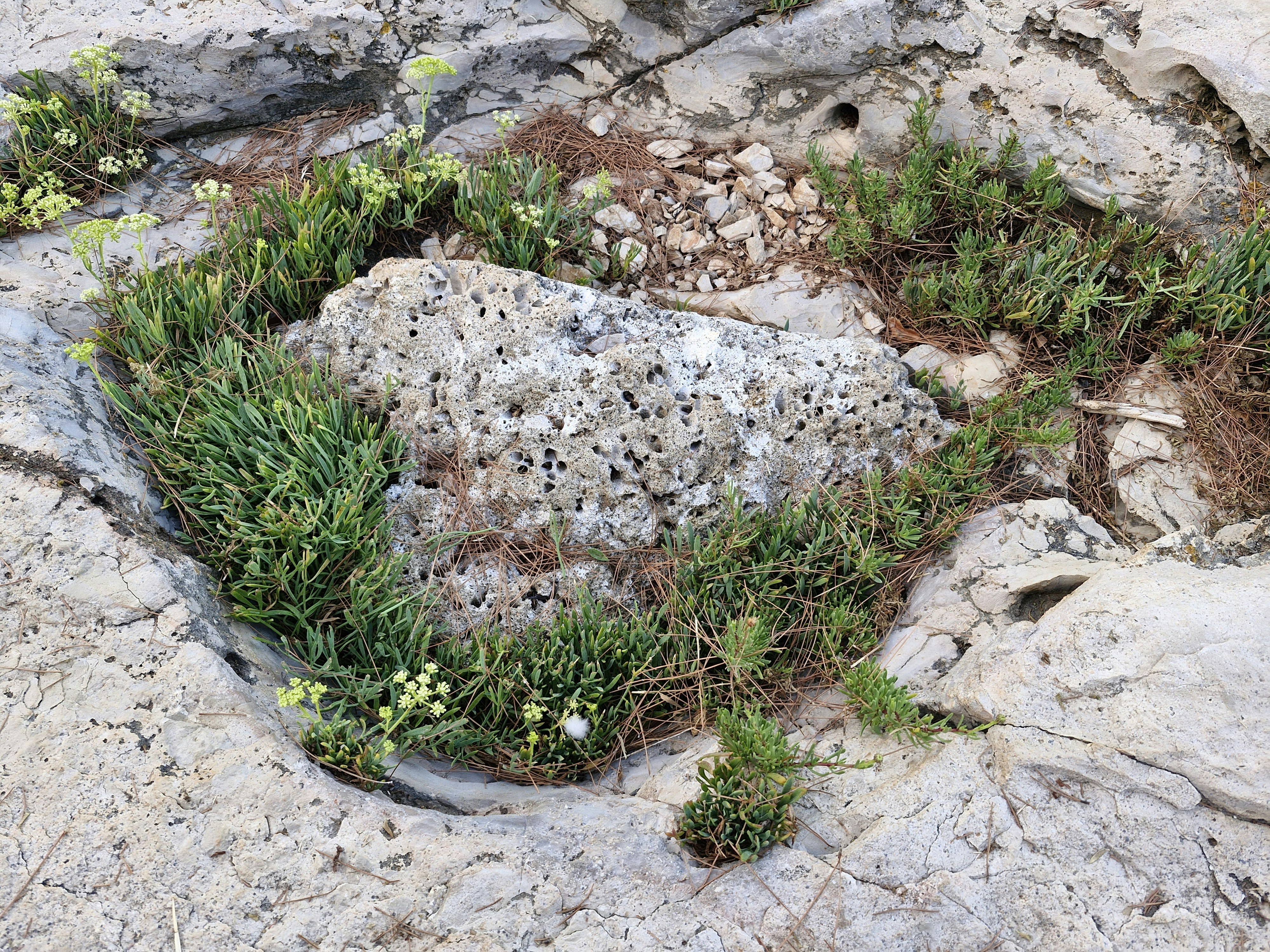 Photo by photoistoriia