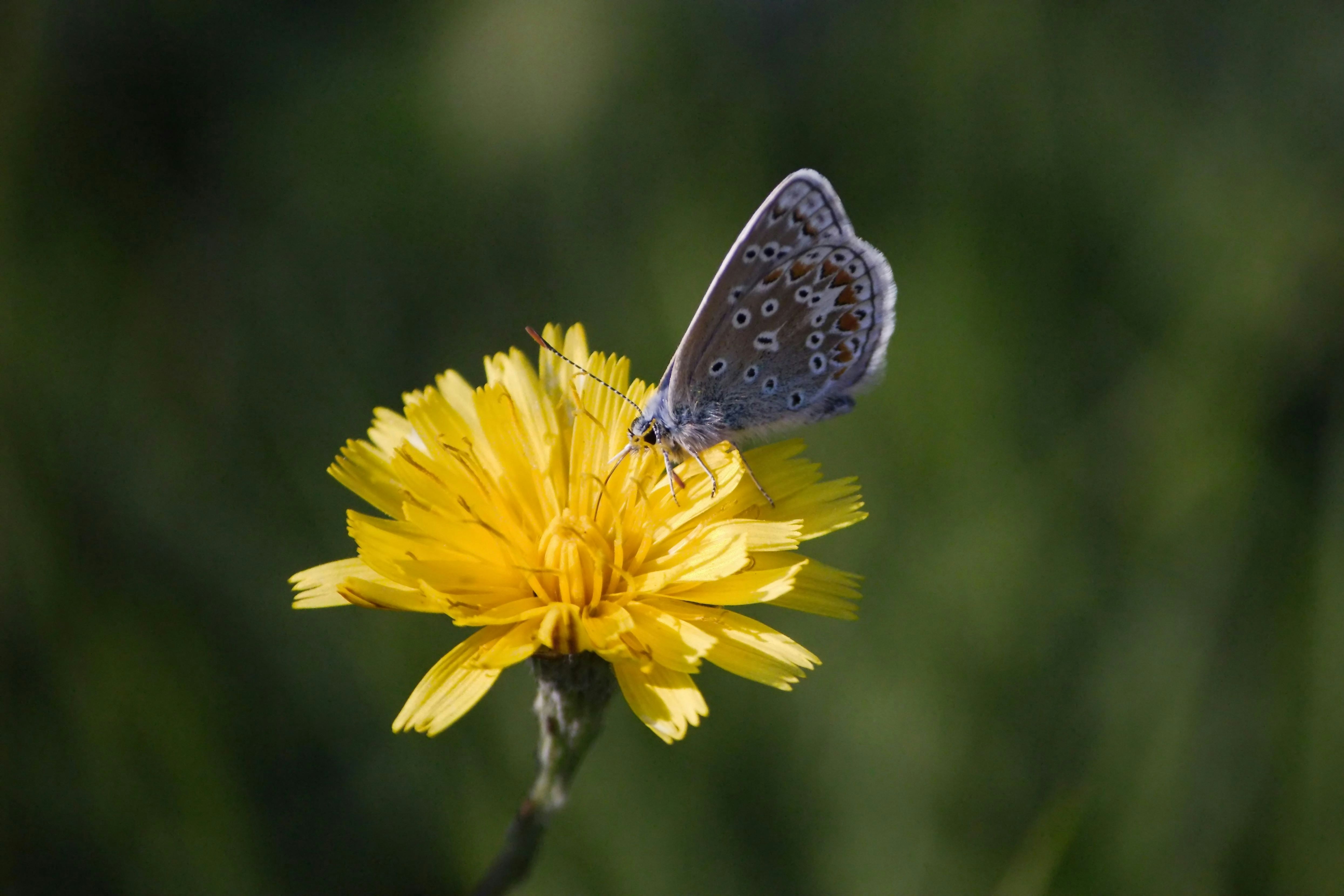 Introduction au conteneur extérieur 8 x 2m