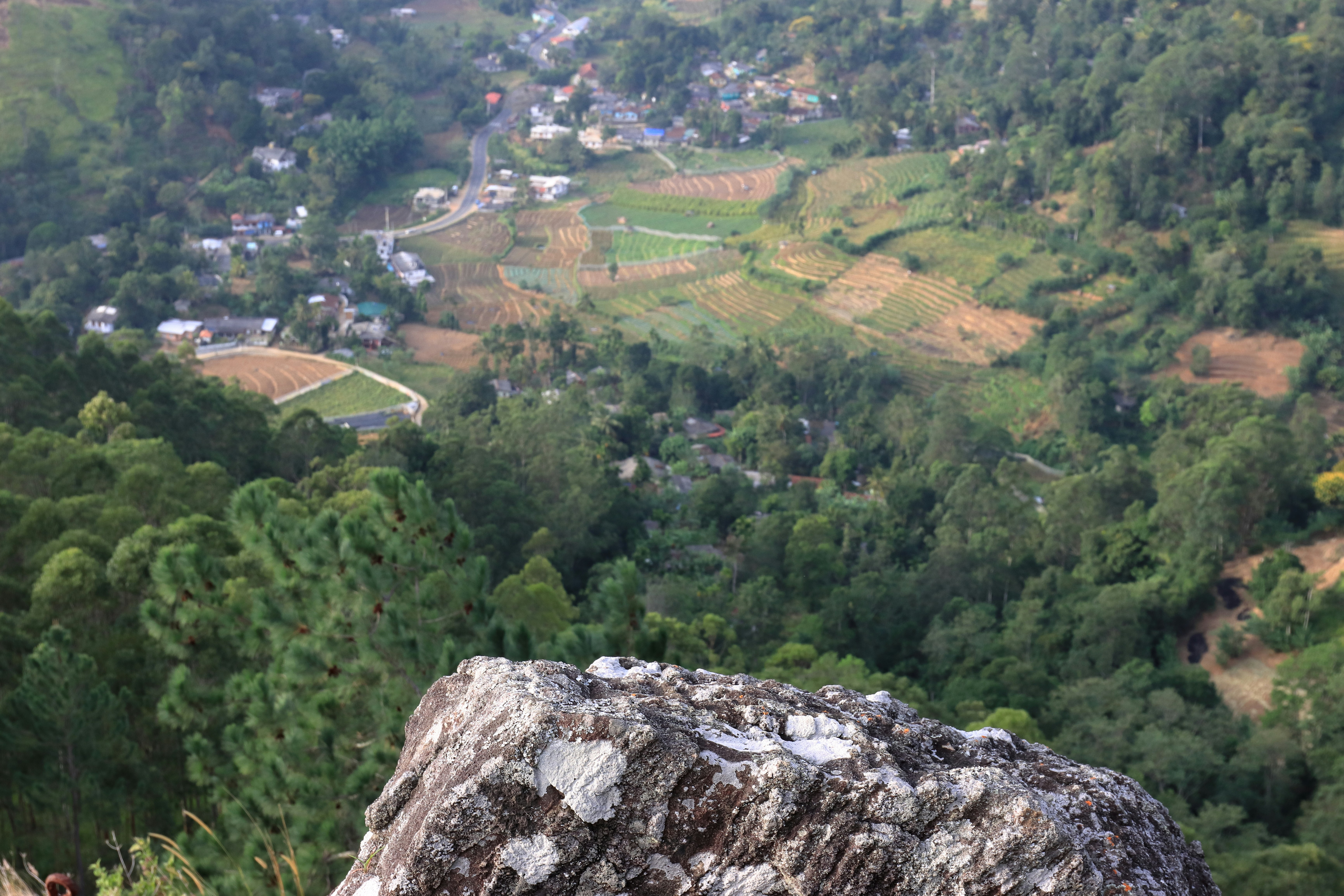 A man standing on top of a mountain next to a lush green valley