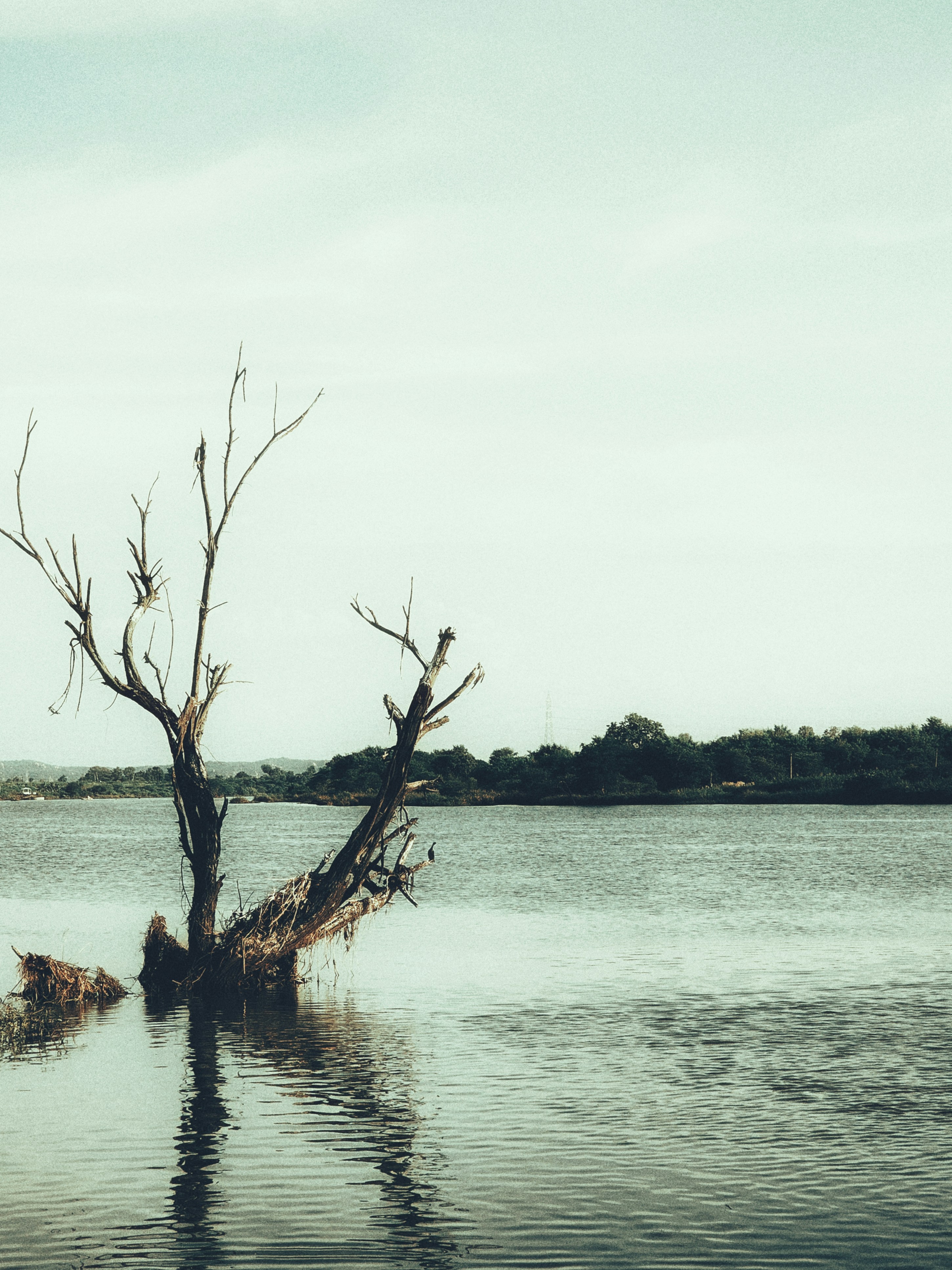 Photo by syed_saud_uddin