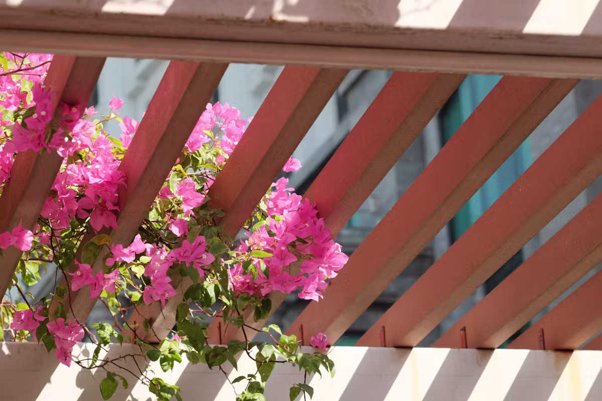 Rénové studio avec terrasse à Roaix