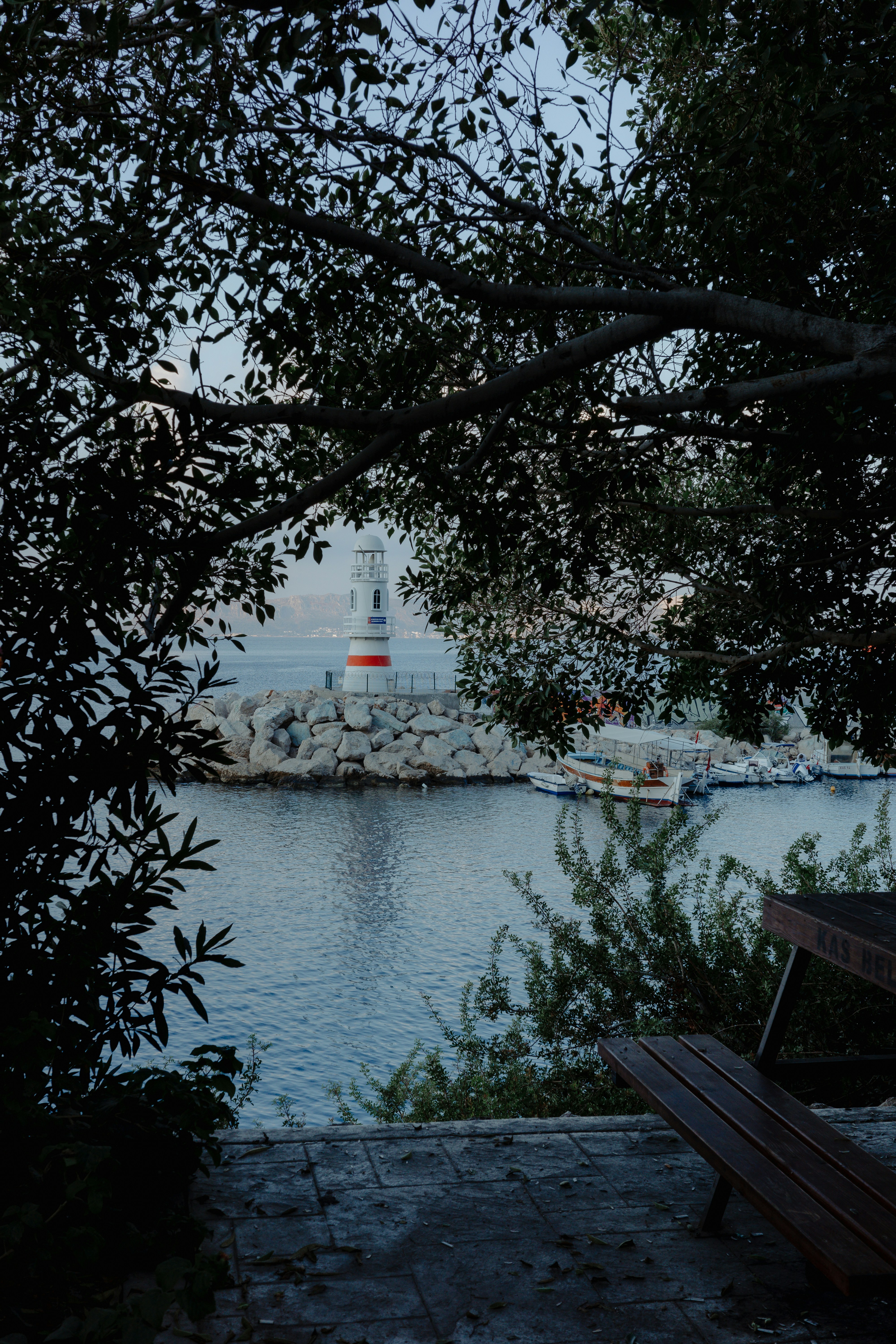 A bench sitting next to a body of water photo – Free City Image on Unsplash