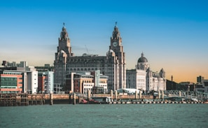 A view of a city from the water