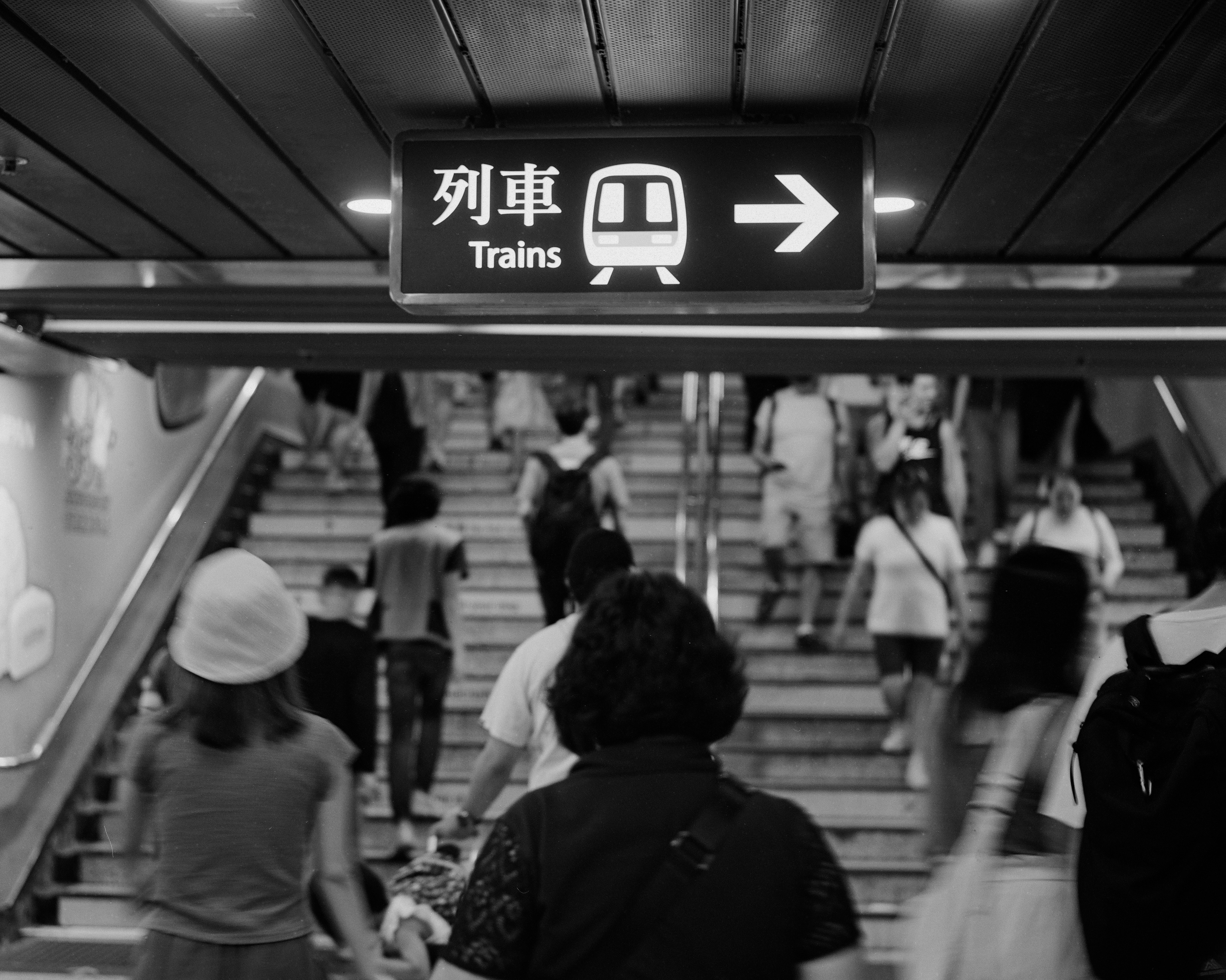 Photo by catgirlmutant