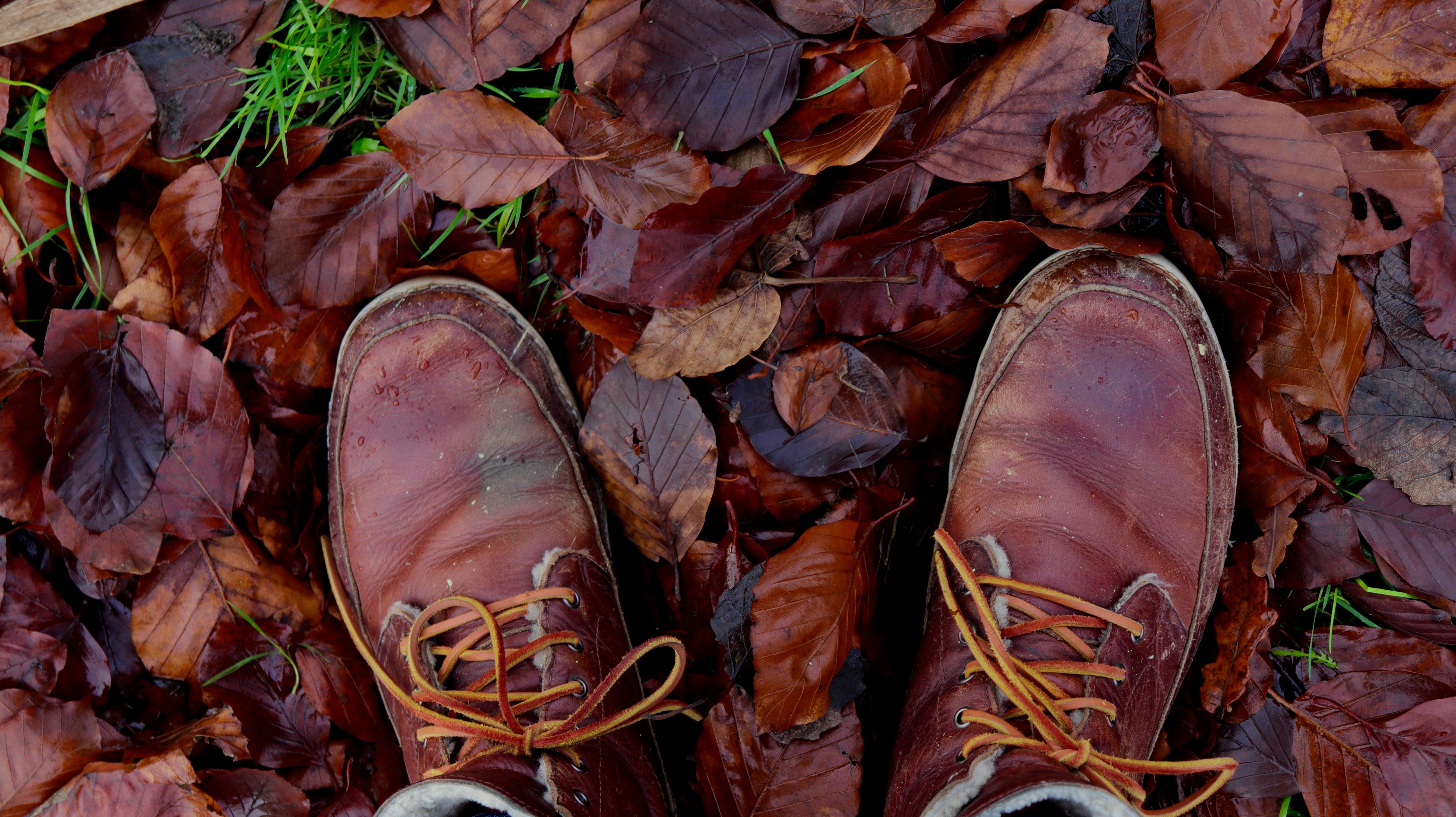 Photo by spectregraphy