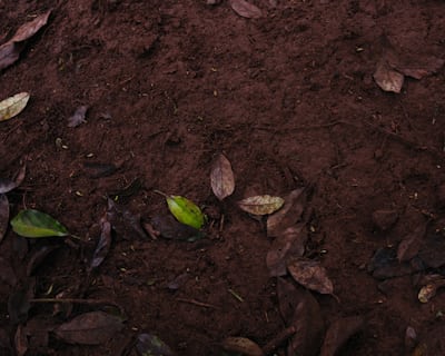 Affordable Solutions