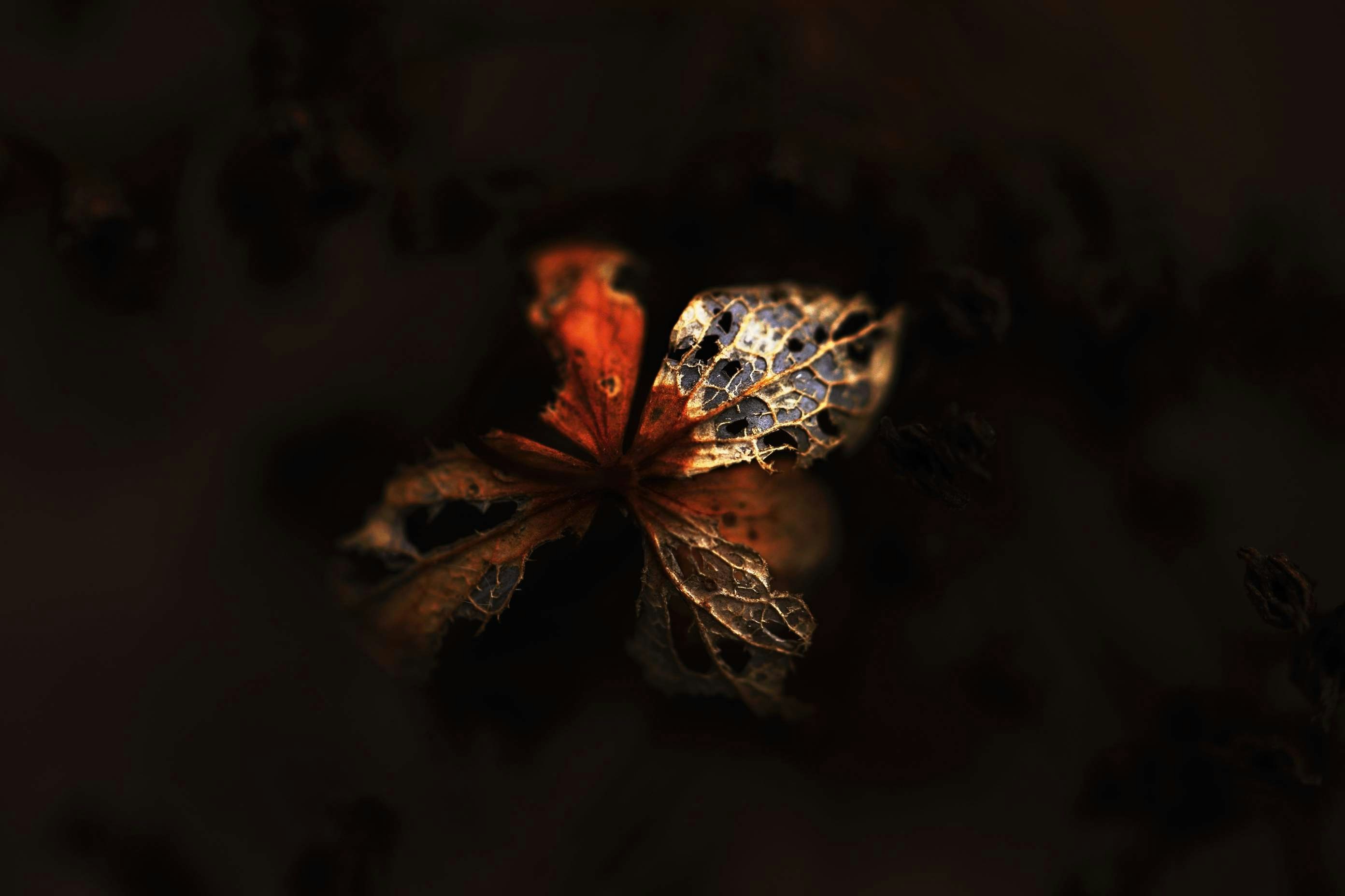 Photo by pinpin_photo