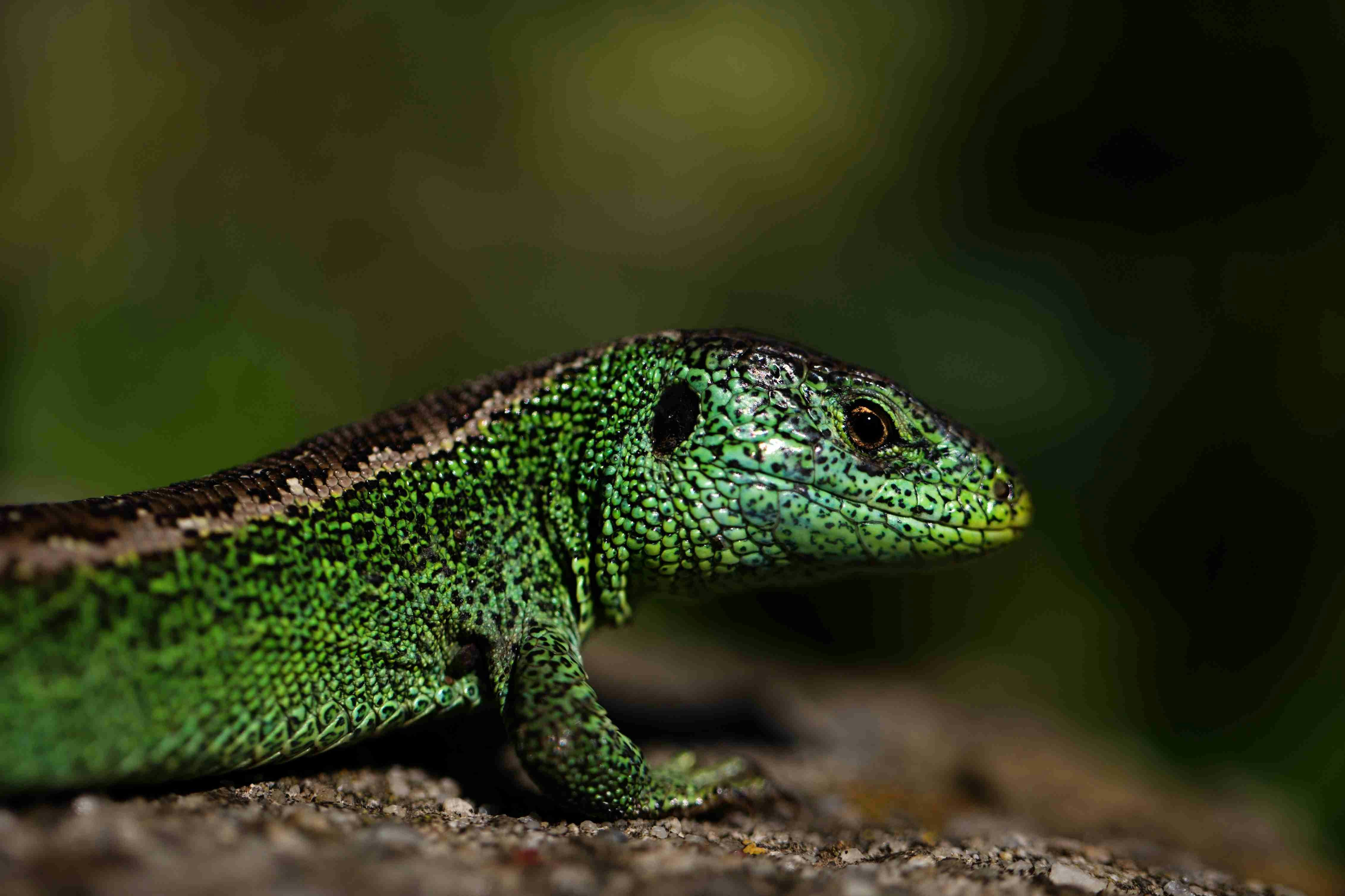 Photo by pinpin_photo