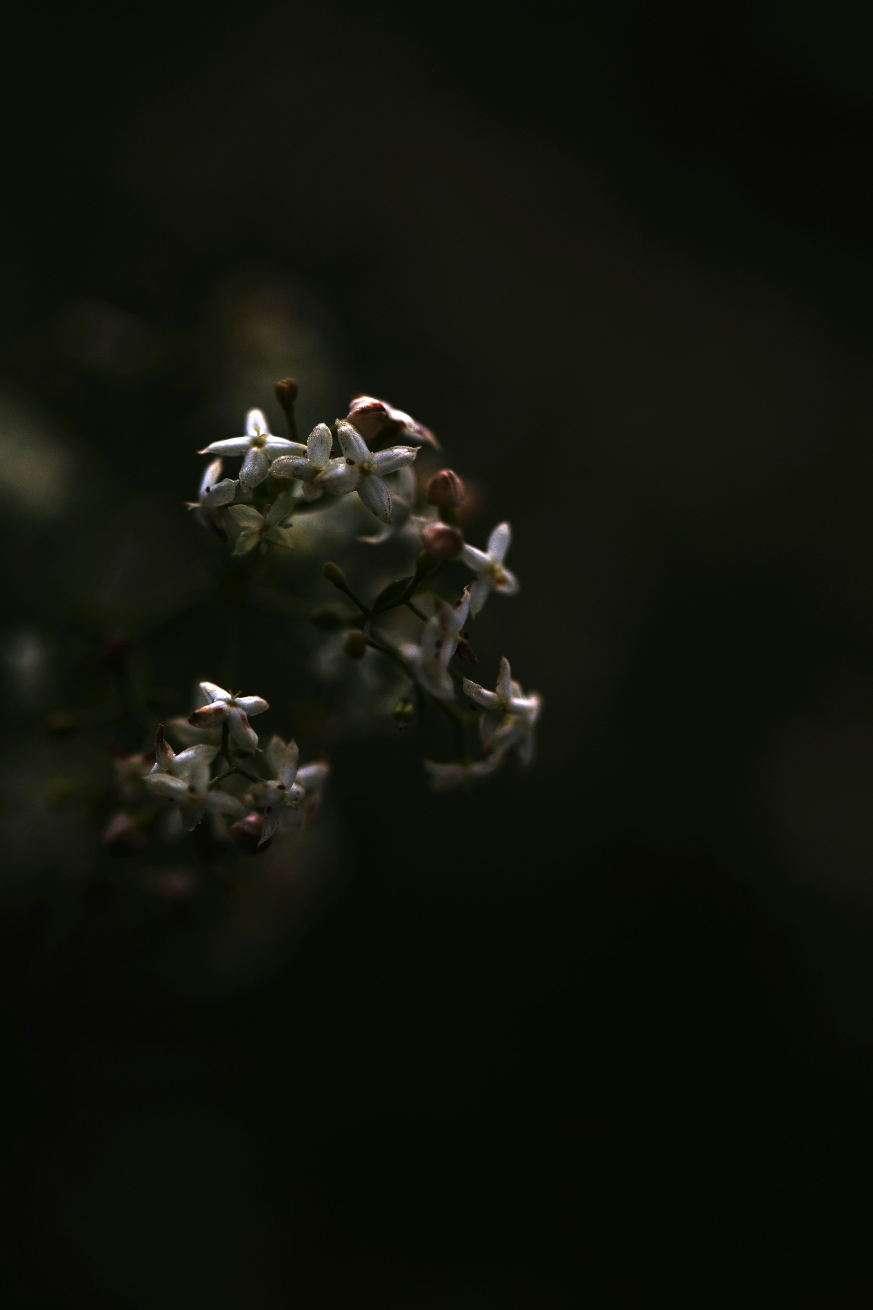 Photo by pinpin_photo