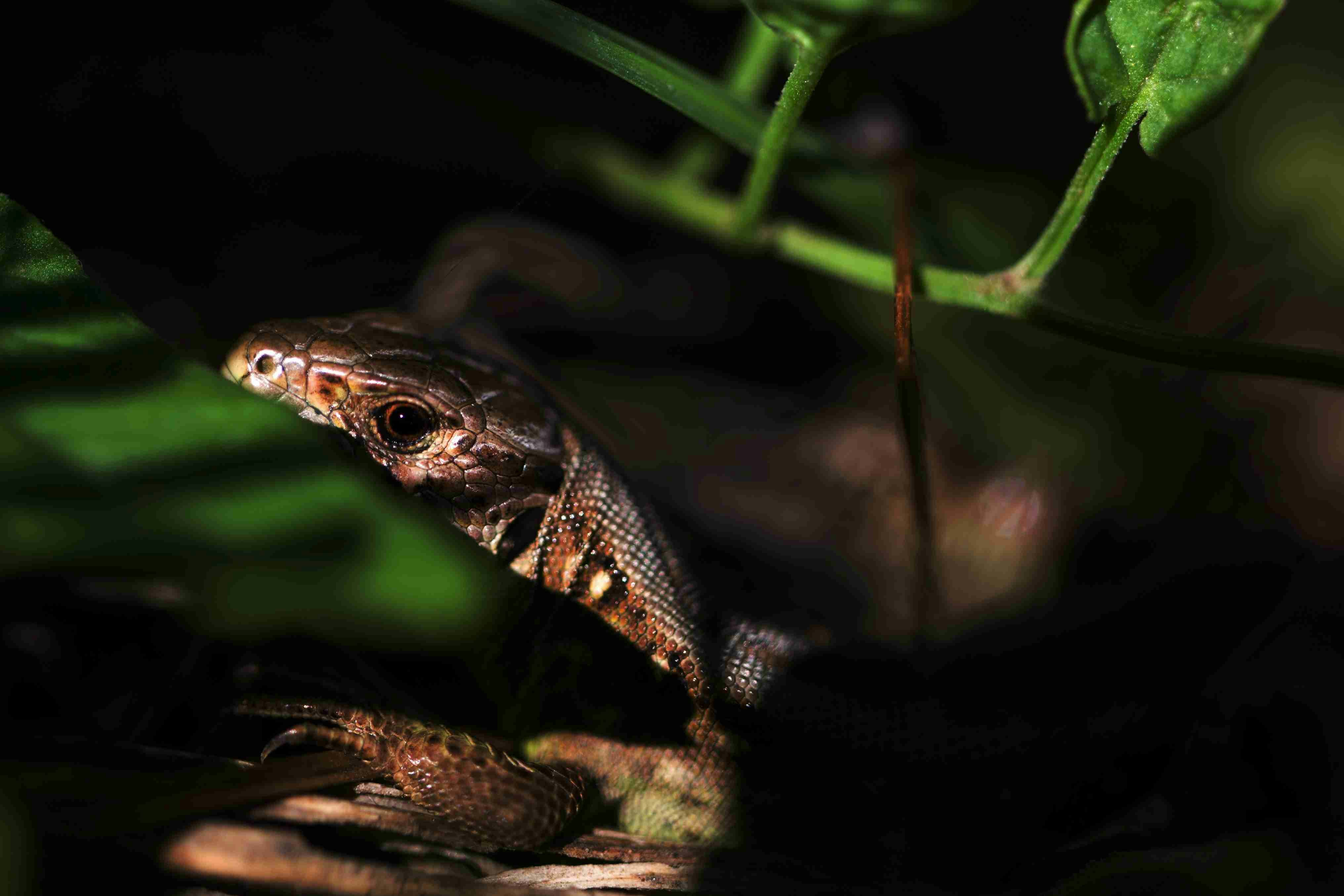 Photo by pinpin_photo