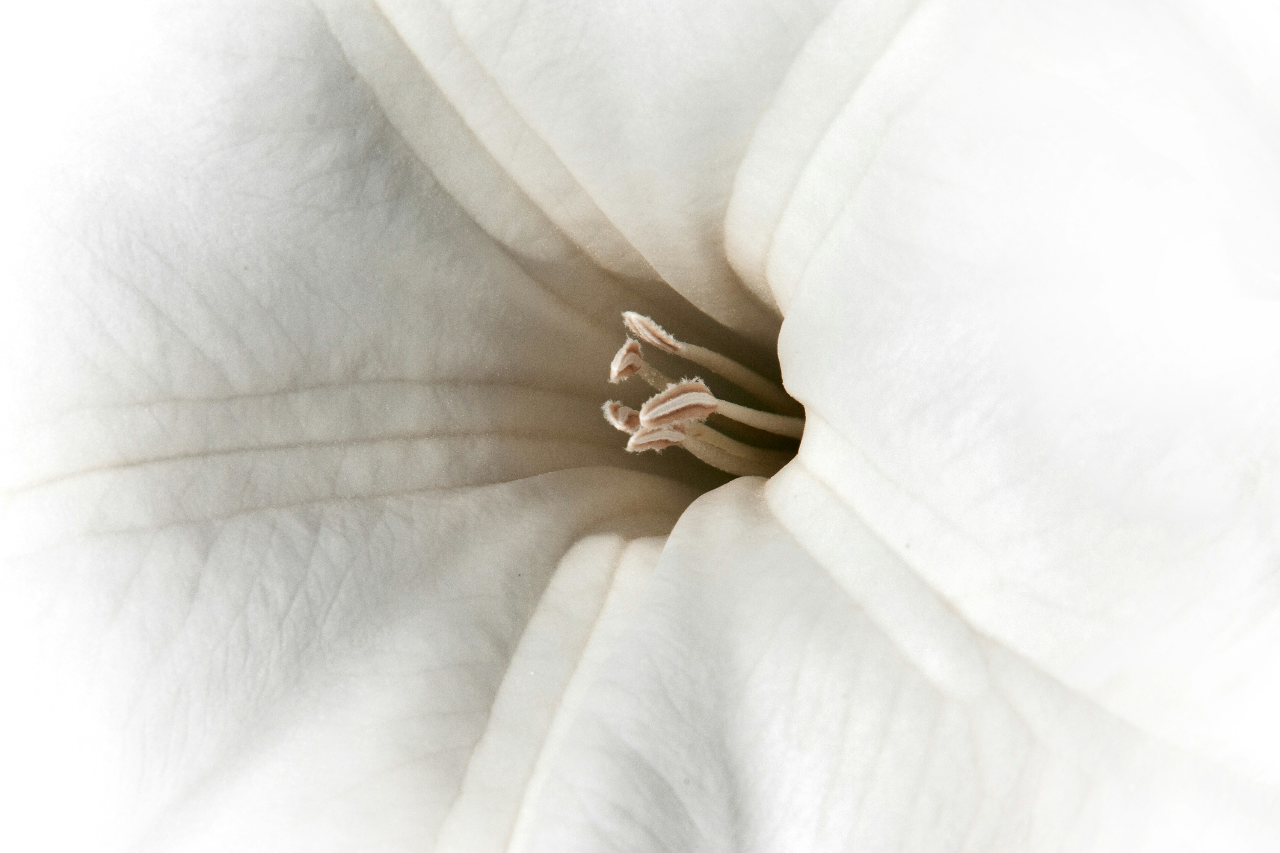 Photo by anthonyaird