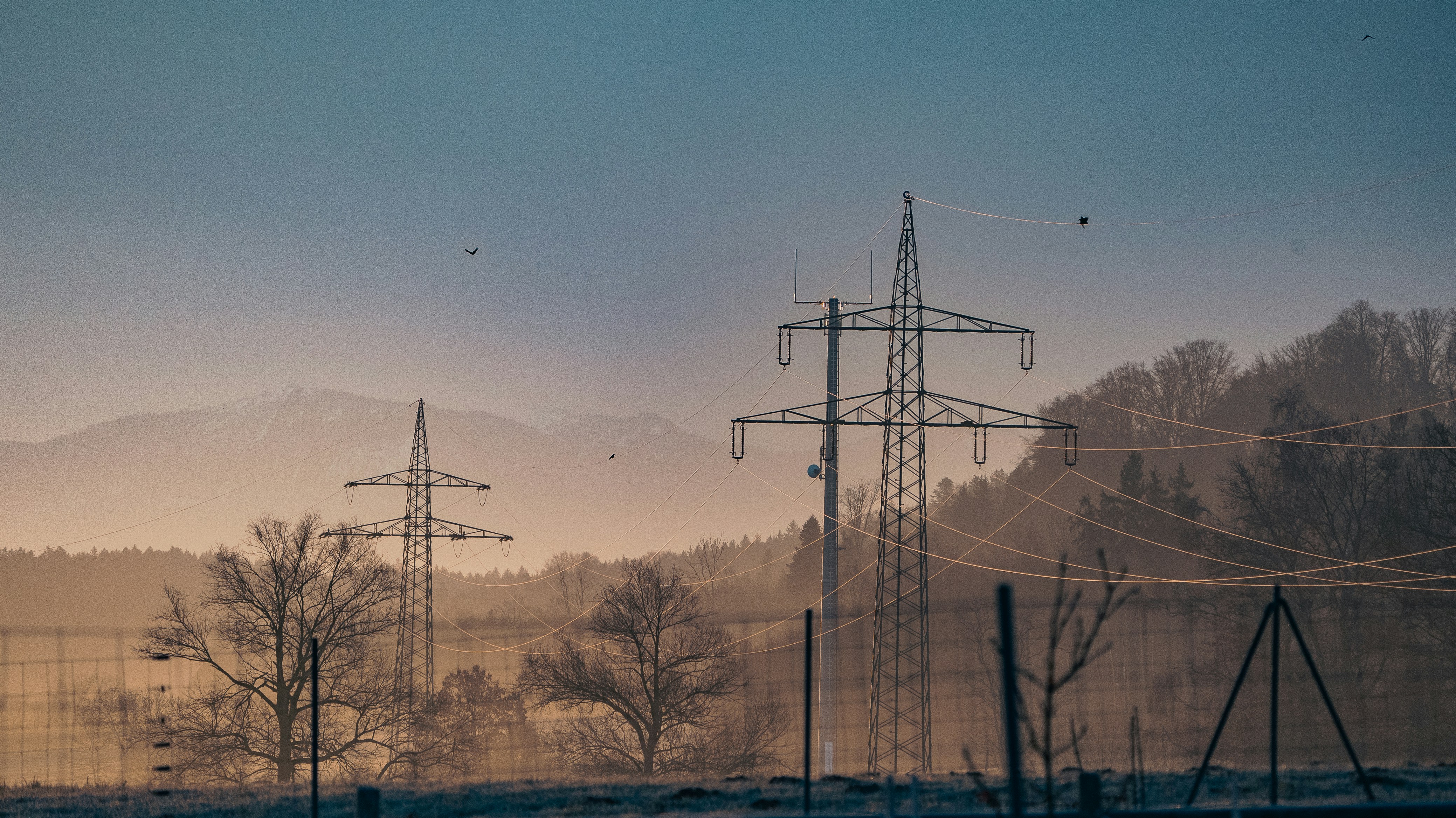 Photo by patrick_von_der_wehd