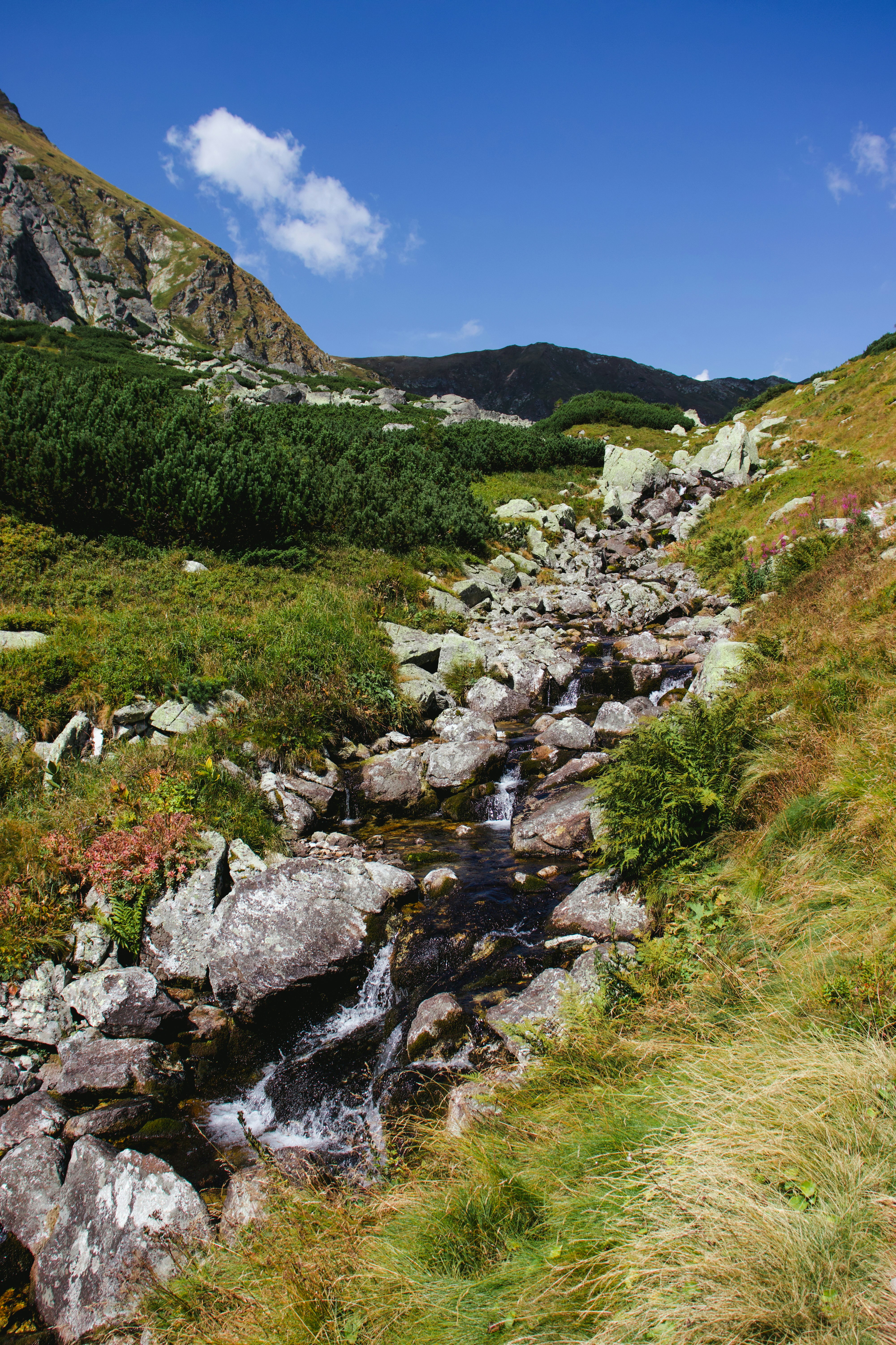 Photo by jakub_neskora