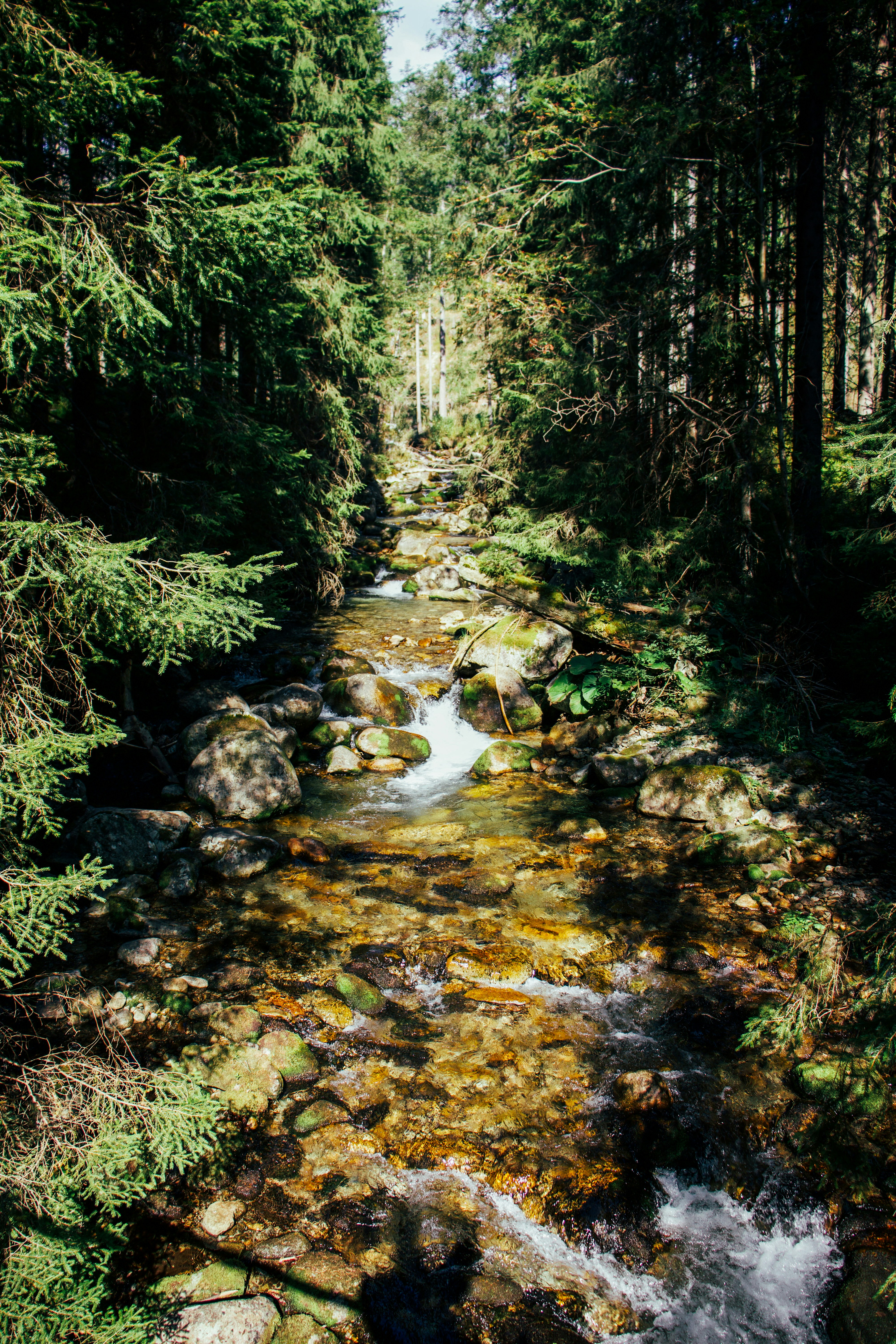 Photo by jakub_neskora