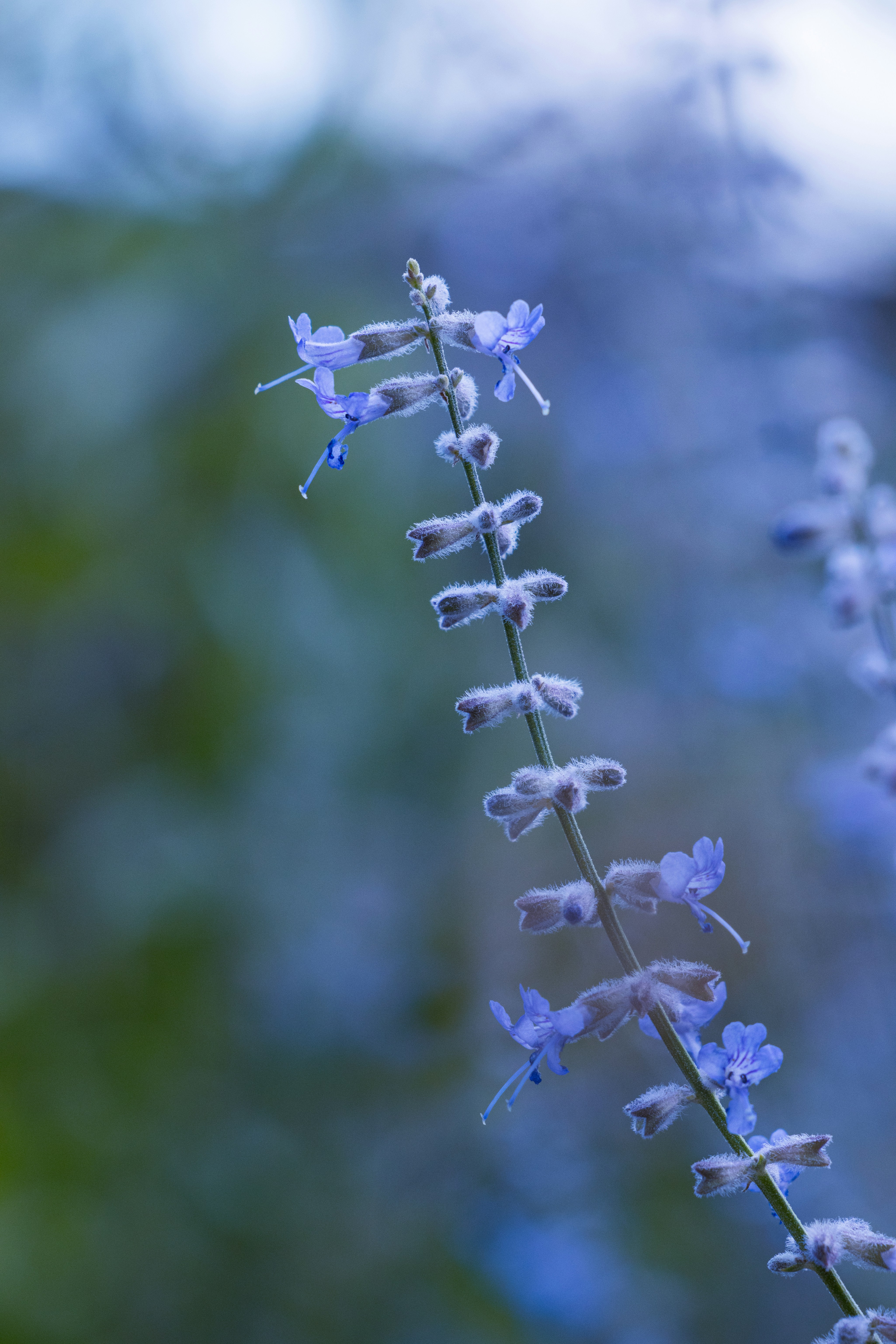 Photo by brandonstoll