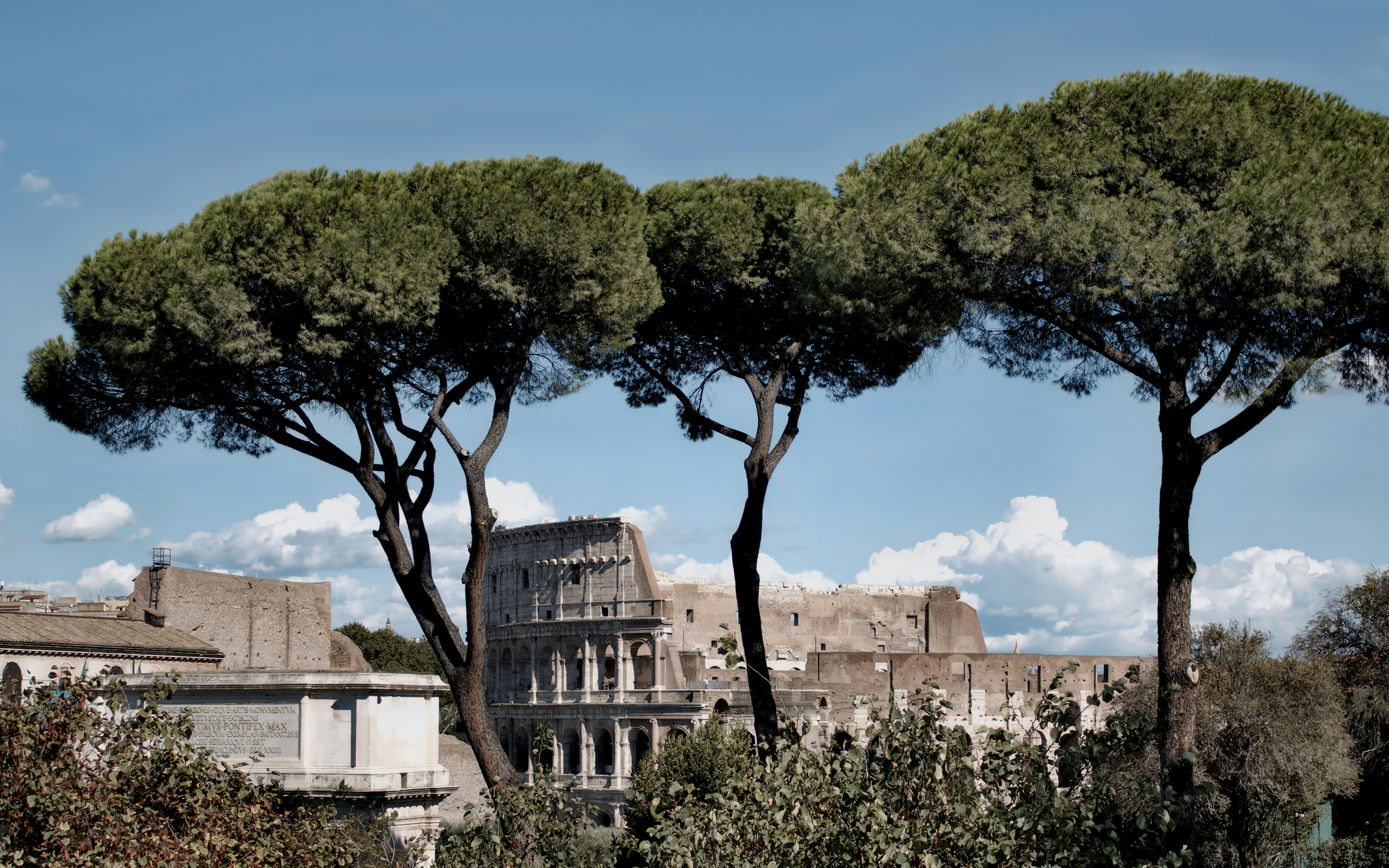 Photo by daniel_1984