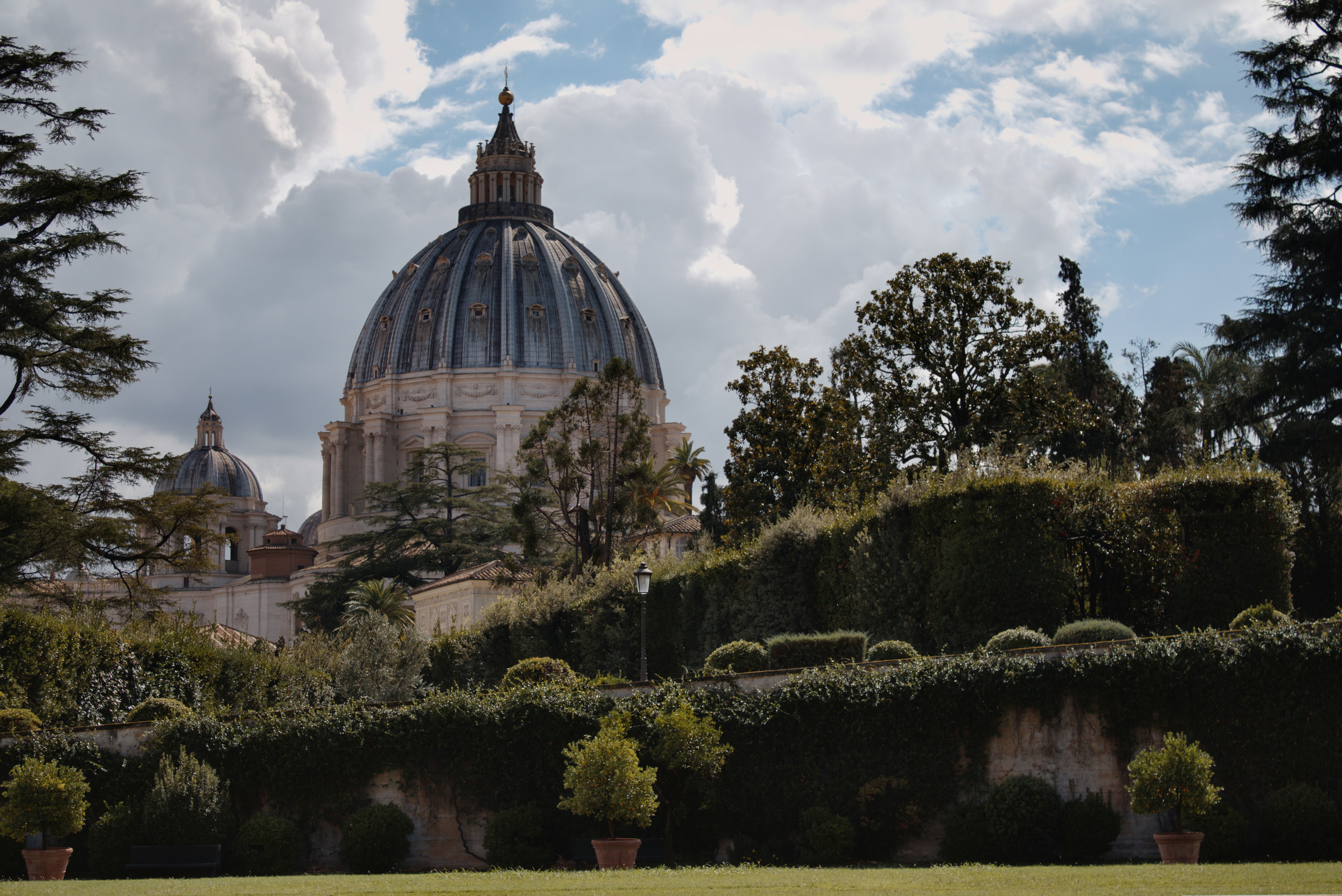 A building with a dome in the middle of a park