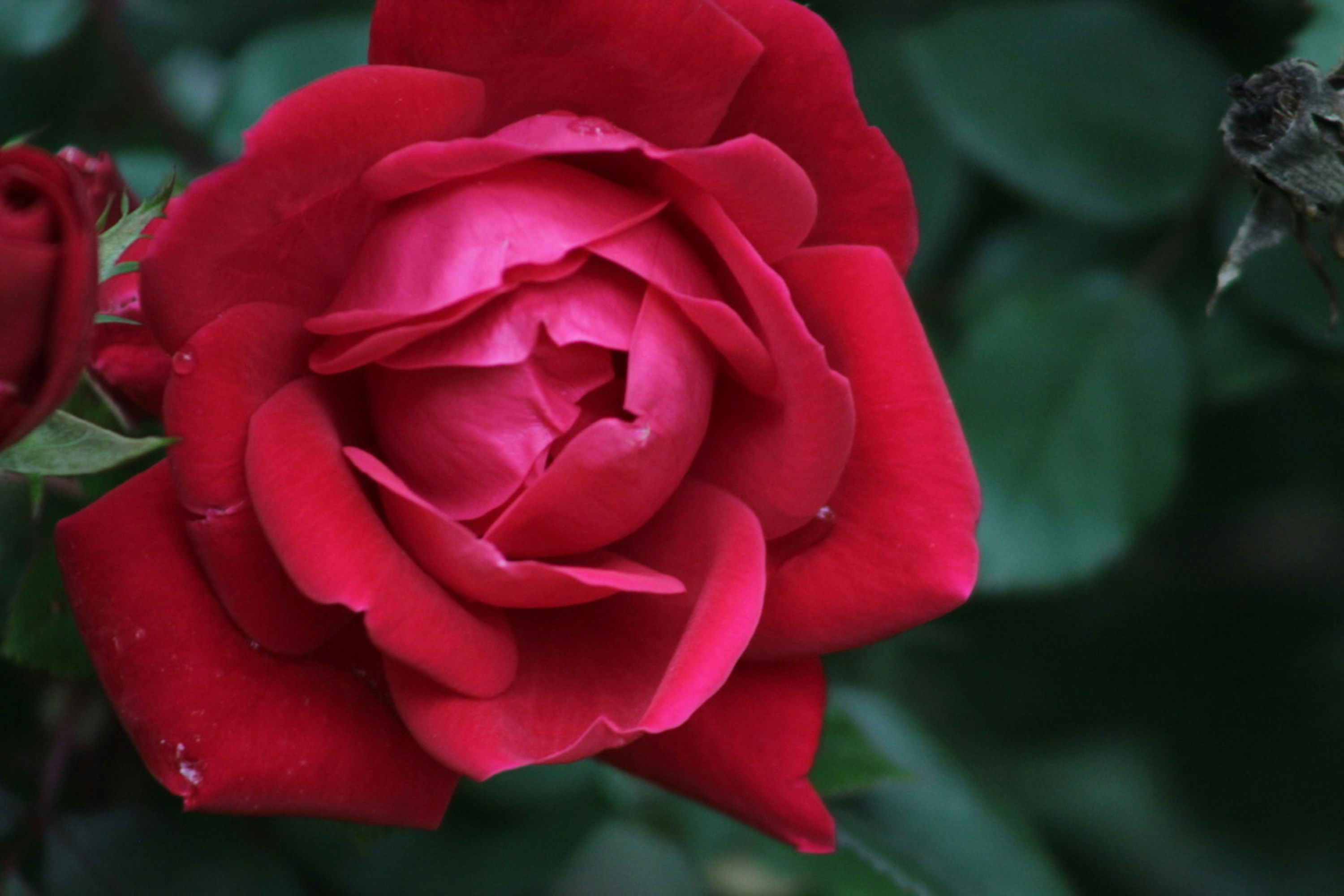 Photo by viewsofthecamera