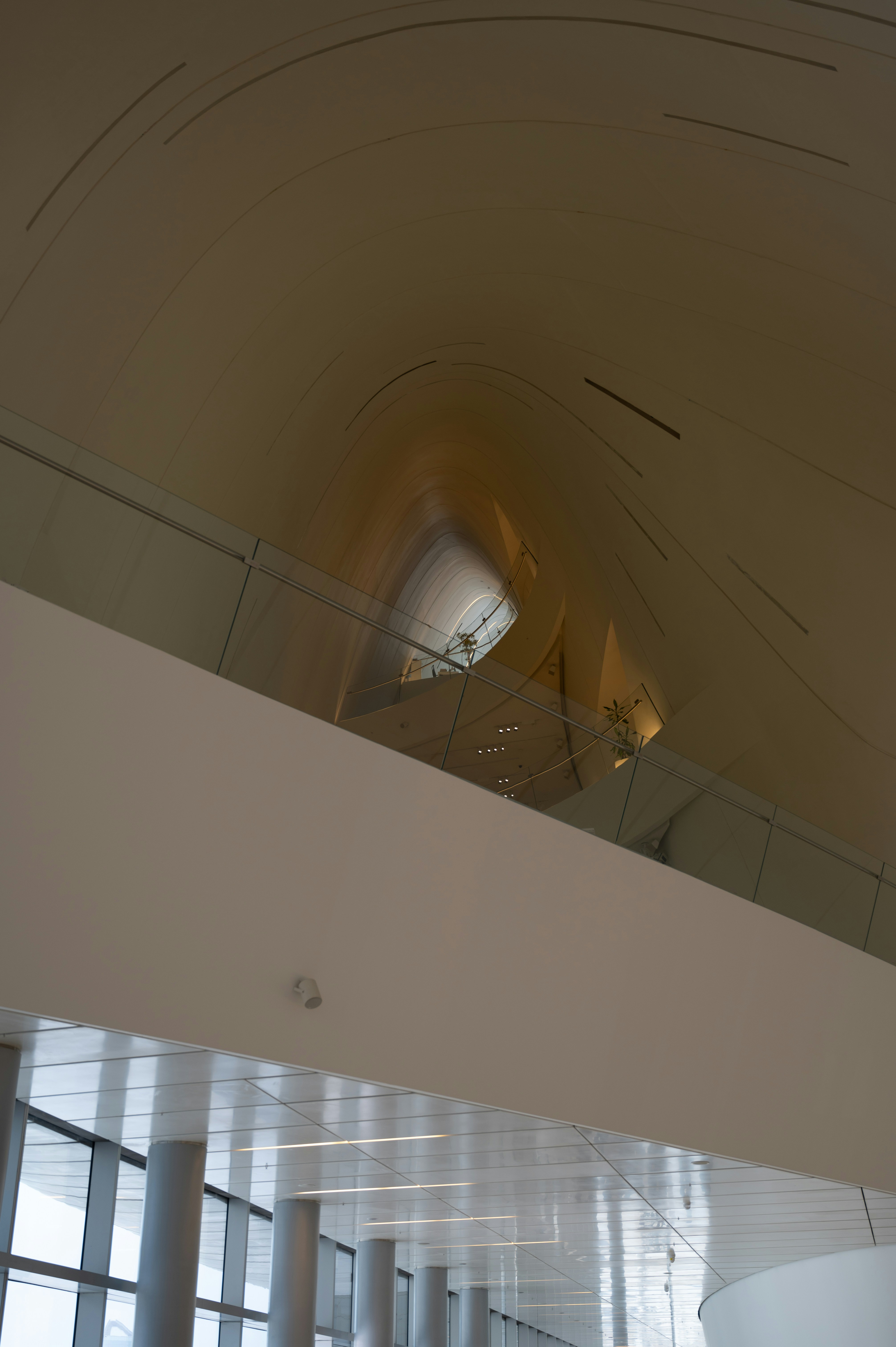 Photo by shubhamsingla365