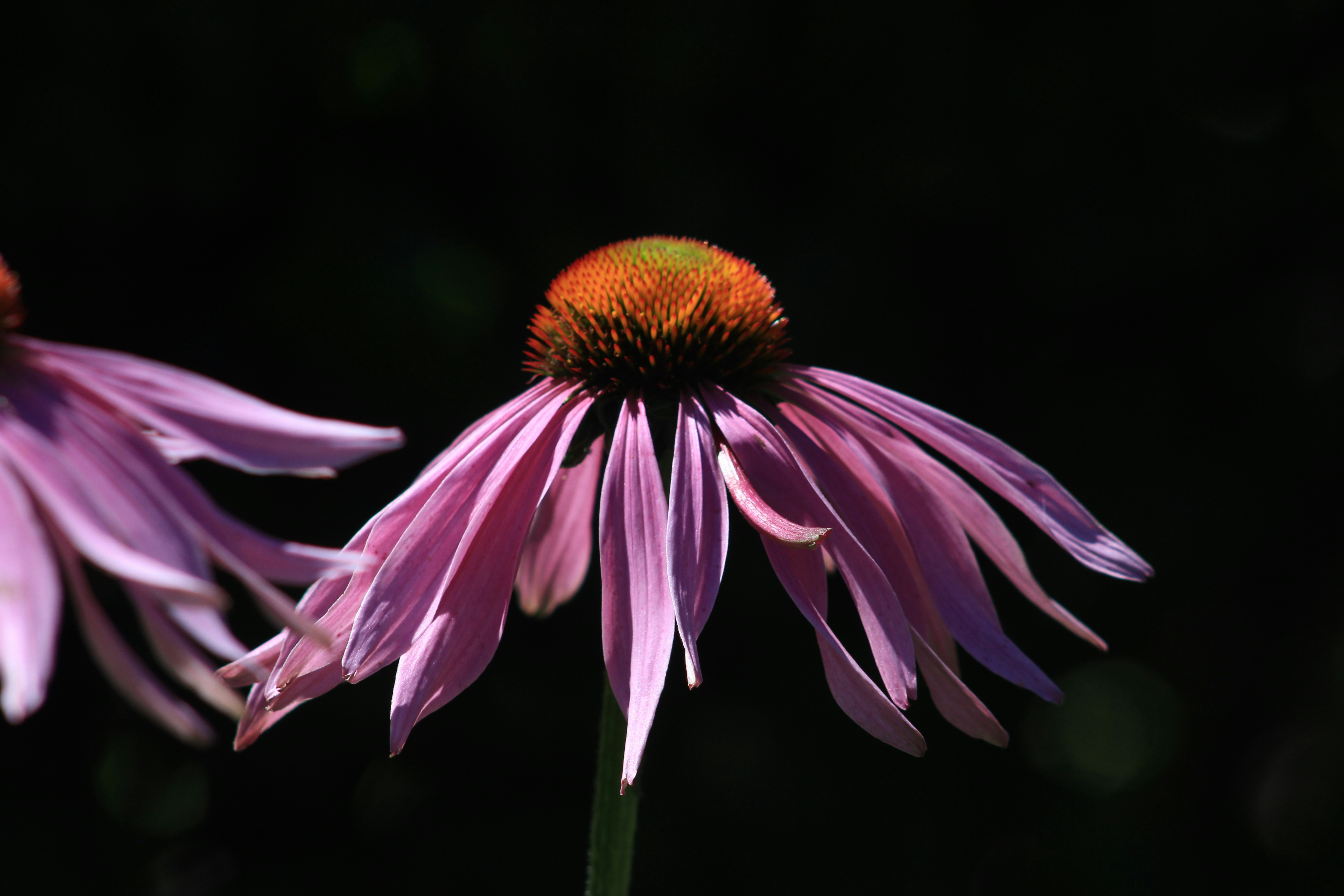 Photo by viewsofthecamera