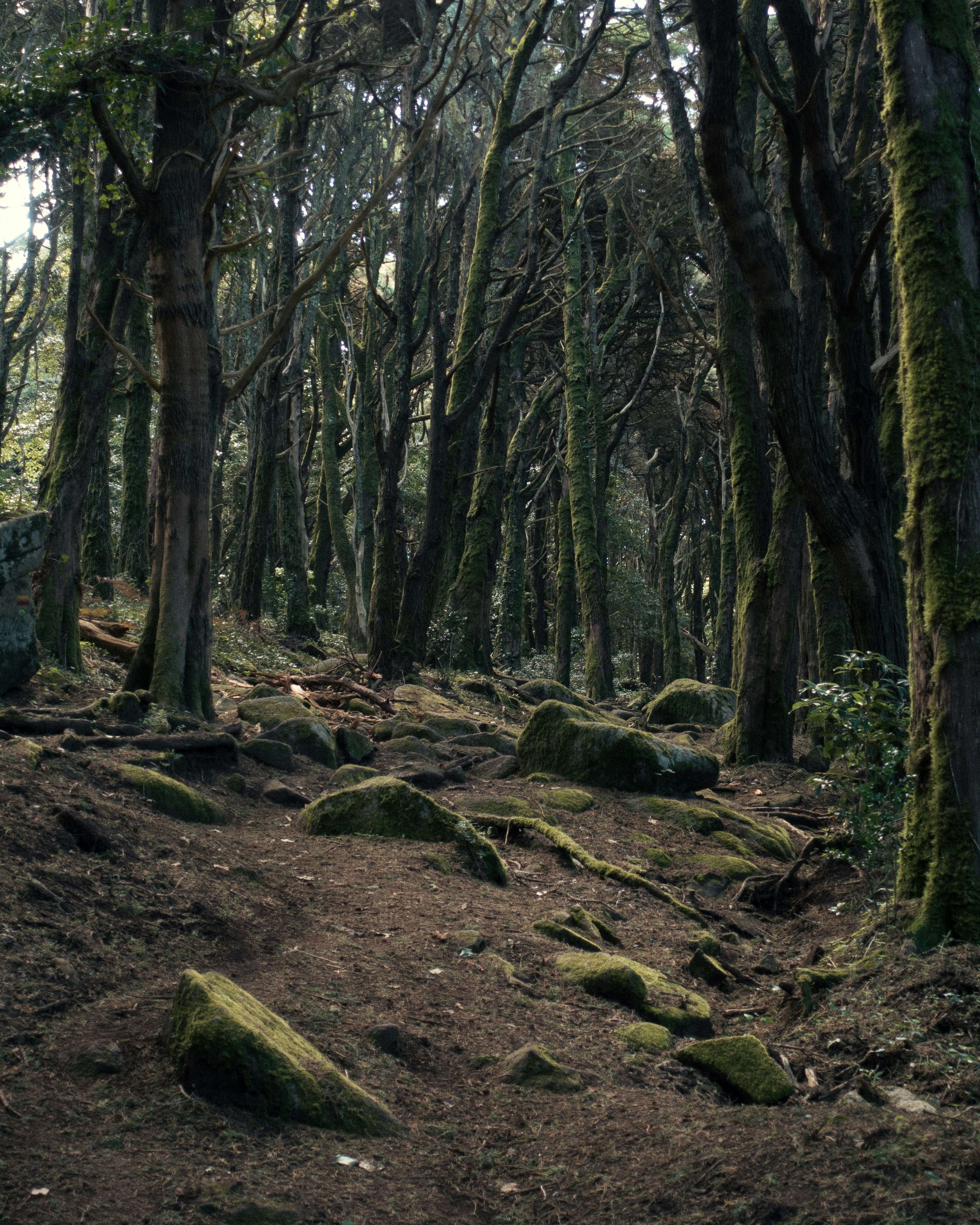 Photo by snapshot_journey