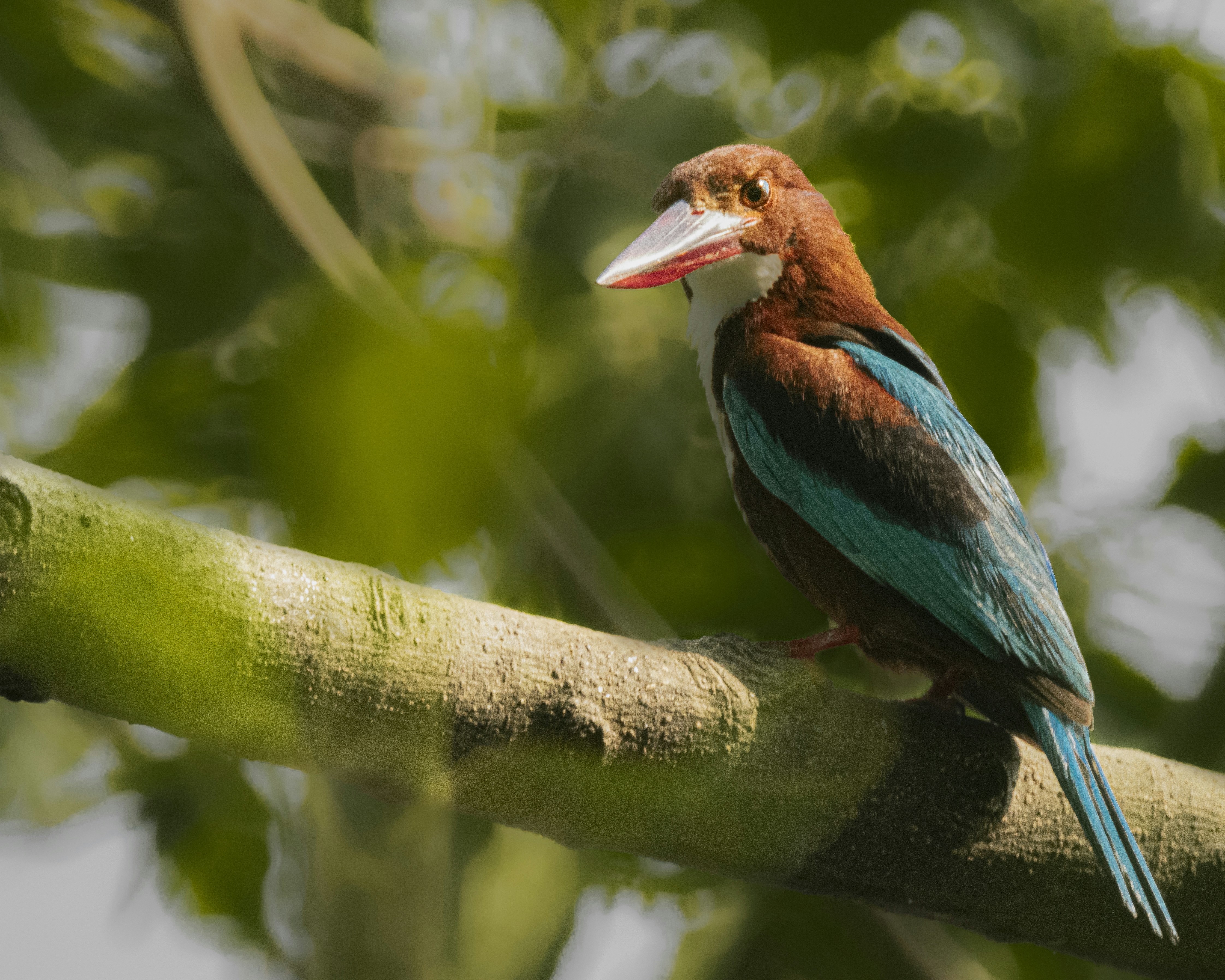 Photo by clickmeister11