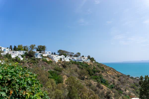 Sidi Bou Said