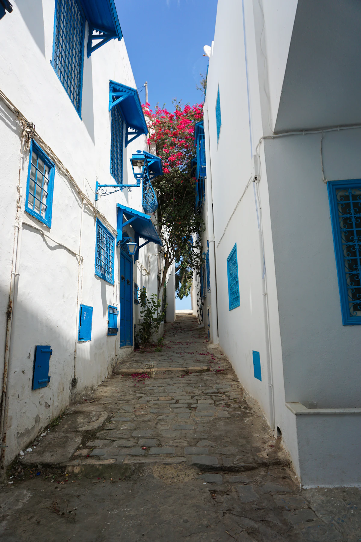 Une ruelle blanche et bleue de Sidi Bou Saïd, près de Tunis
