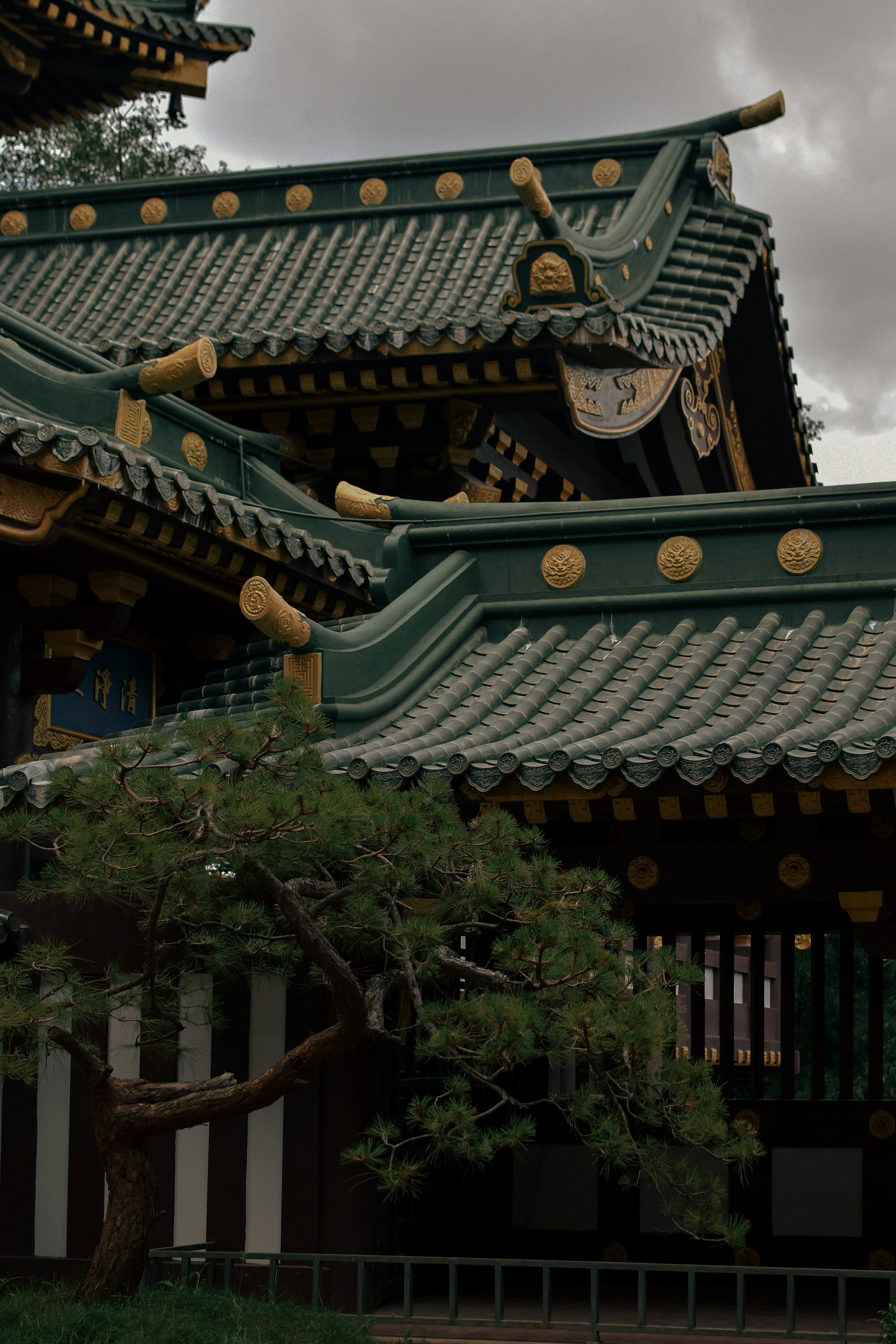 Photo by quinguyen