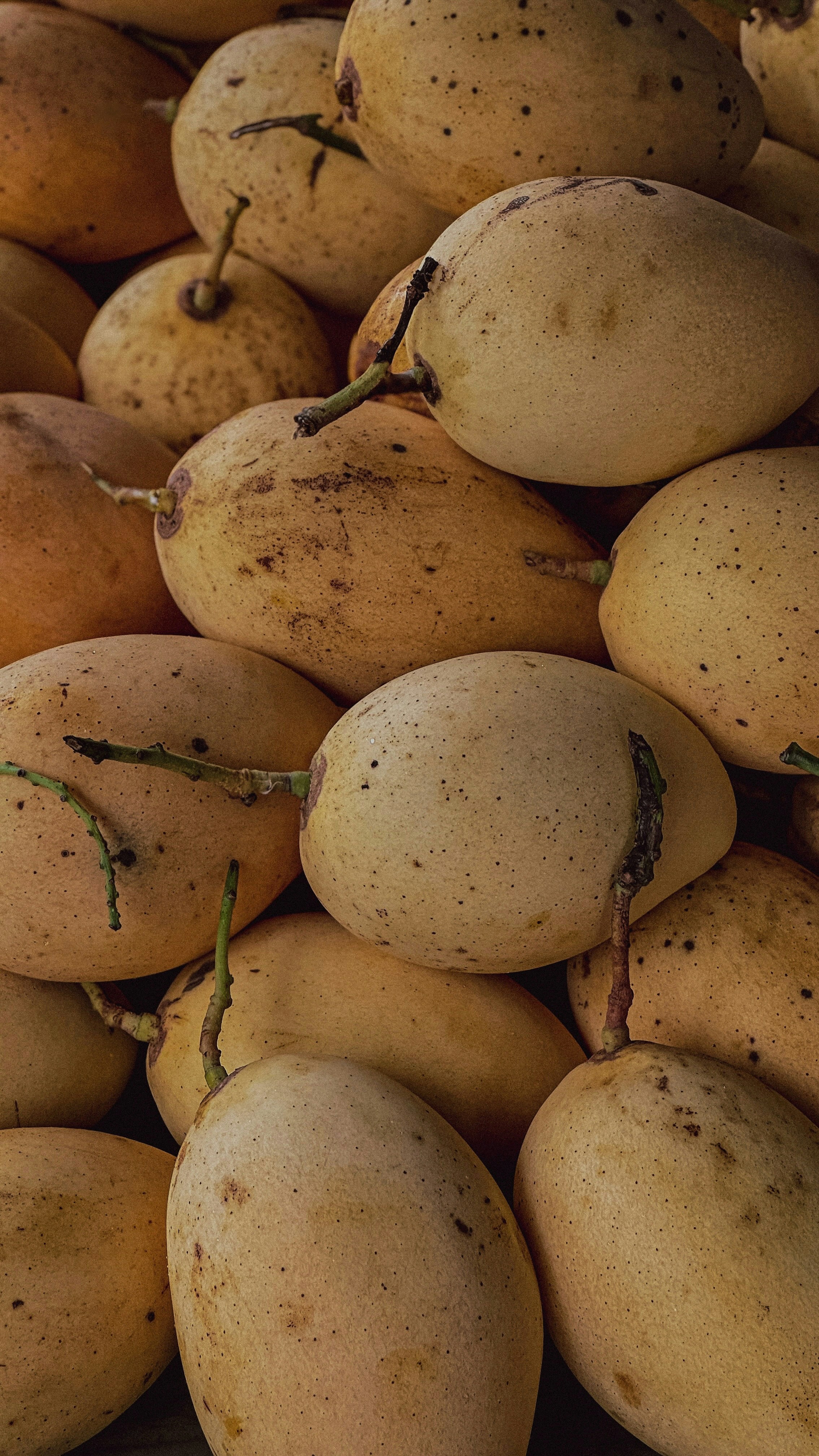 Ripe yellow-orange Alphonso mangoes in a market basket with green stems