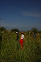 A group of people walking through a lush green field
