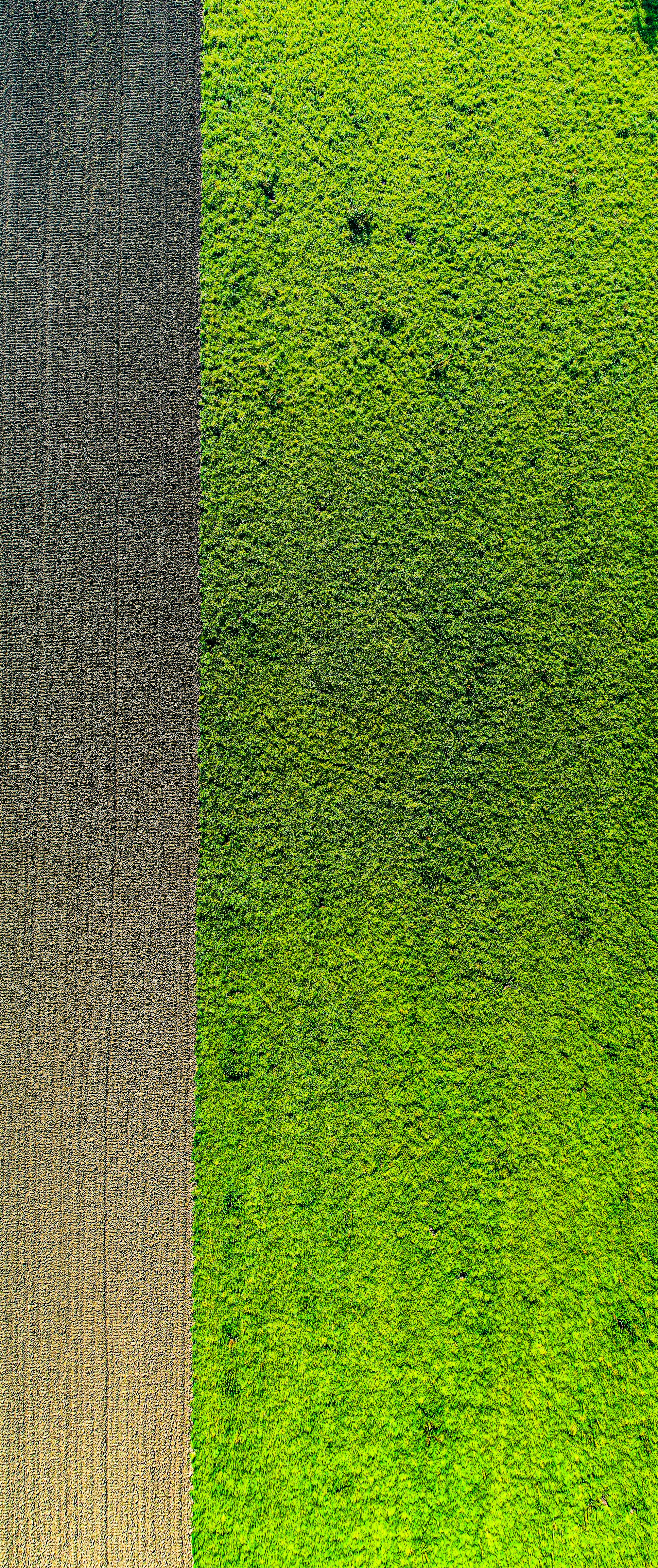 Aerial view of disc-ploughed dark brown field, clean furrows, bright sunlight, rich Kenya soil