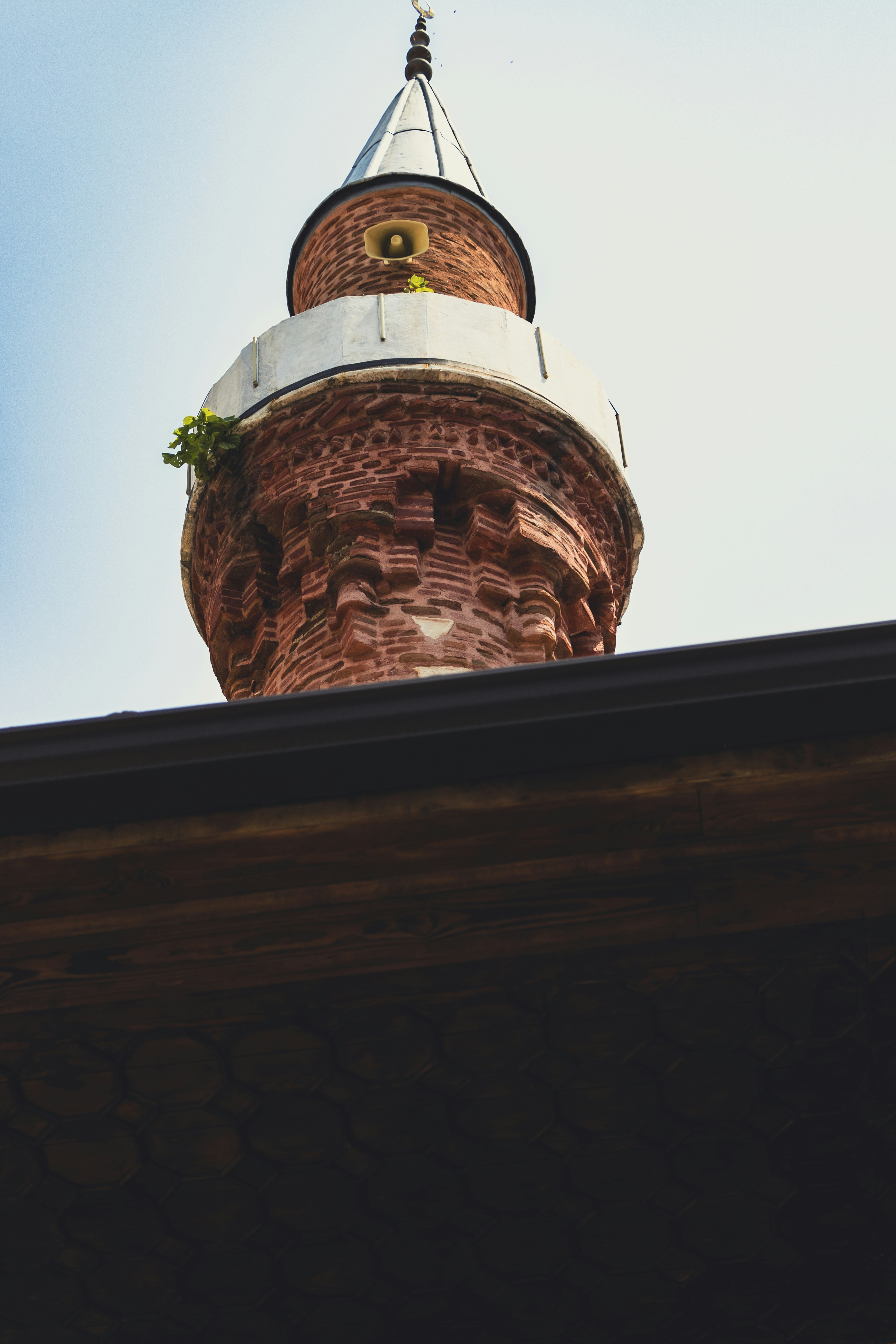 Photo by burakbasgoze