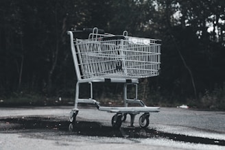 A shopping cart sitting on the side of a road