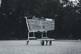 A black and white photo of a shopping cart